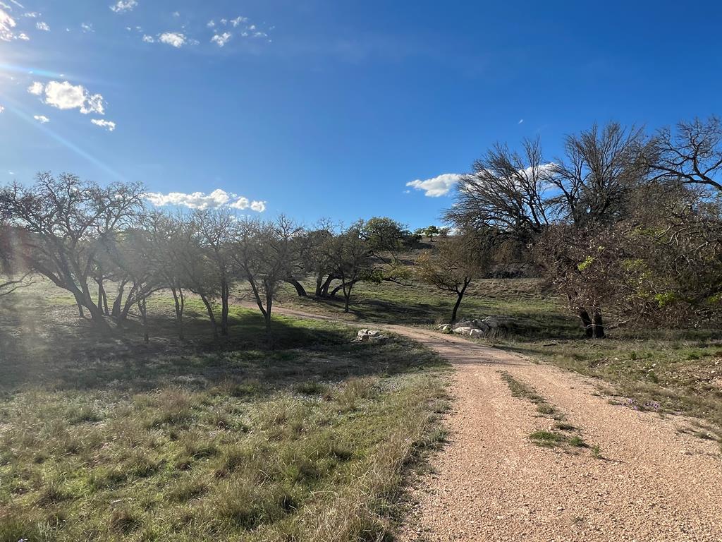 215 Oakhampton Trail