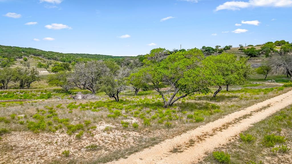 215 Oakhampton Trail
