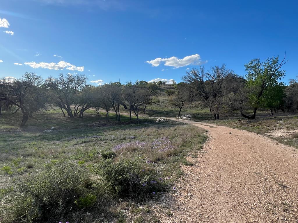 215 Oakhampton Trail