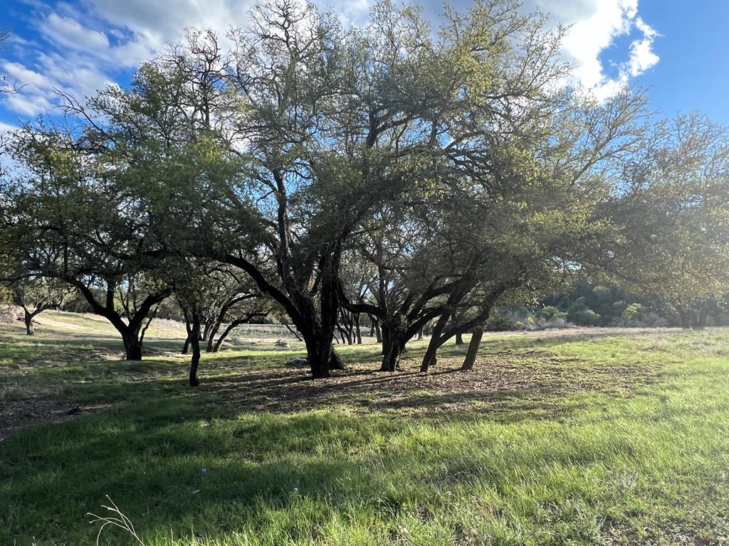 215 Oakhampton Trail