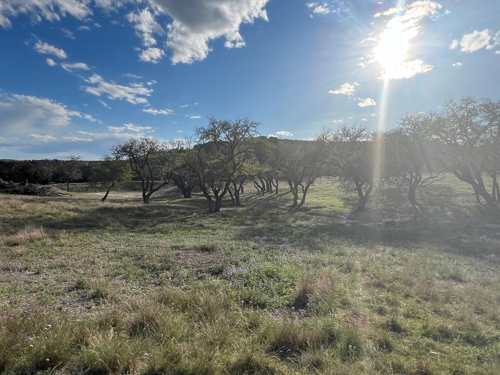 215 Oakhampton Trail