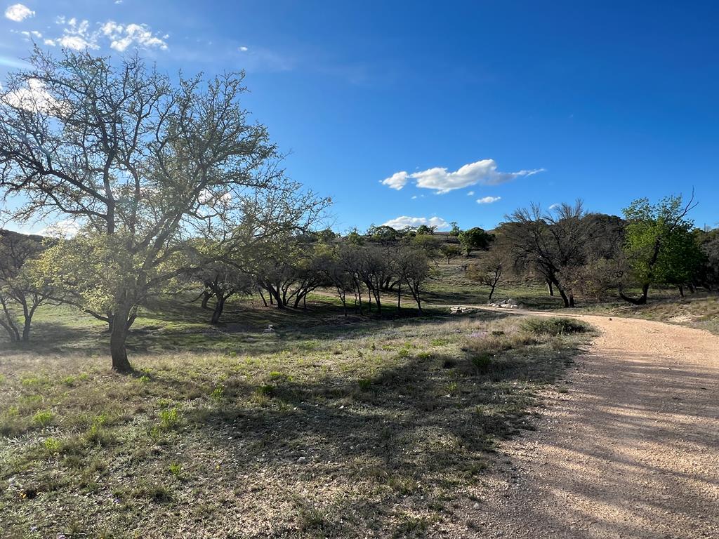 215 Oakhampton Trail
