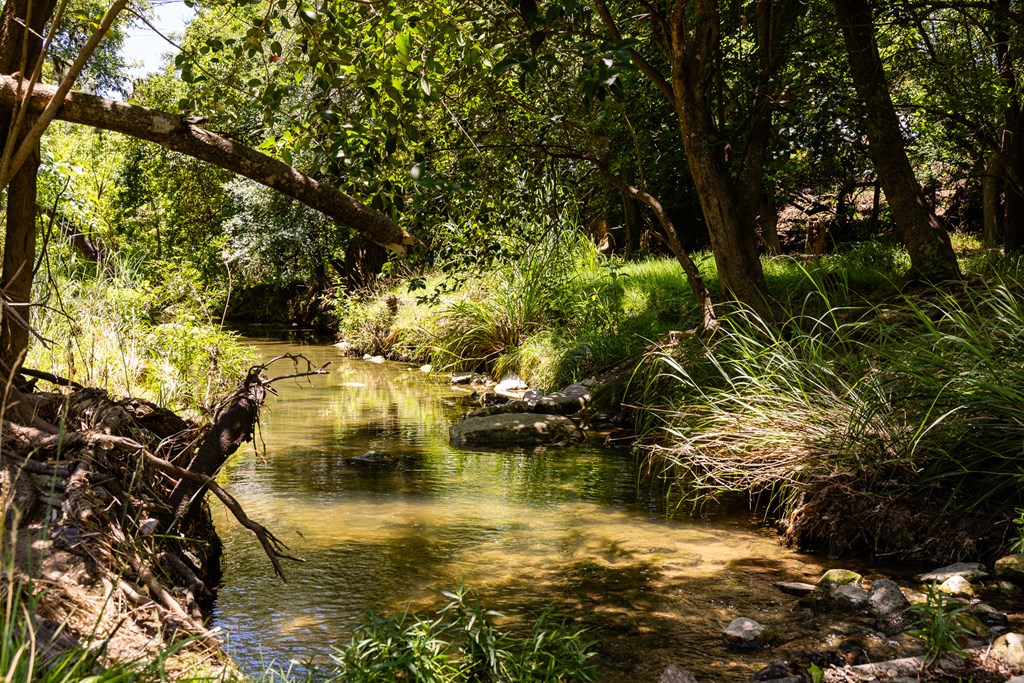 951 Cypress Creek Rd