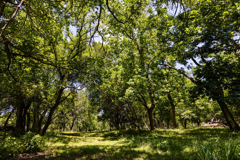 951 Cypress Creek Rd