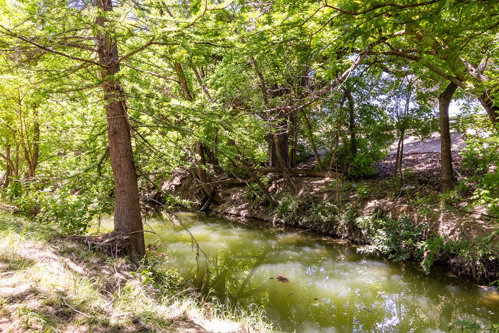 951 Cypress Creek Rd