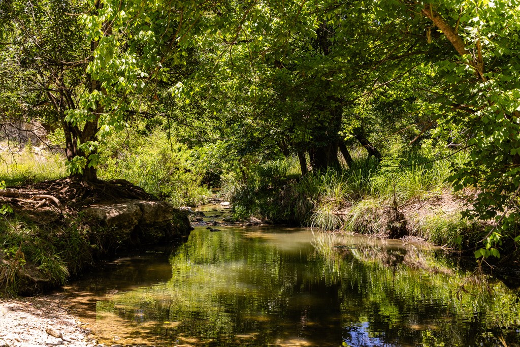 951 Cypress Creek Rd