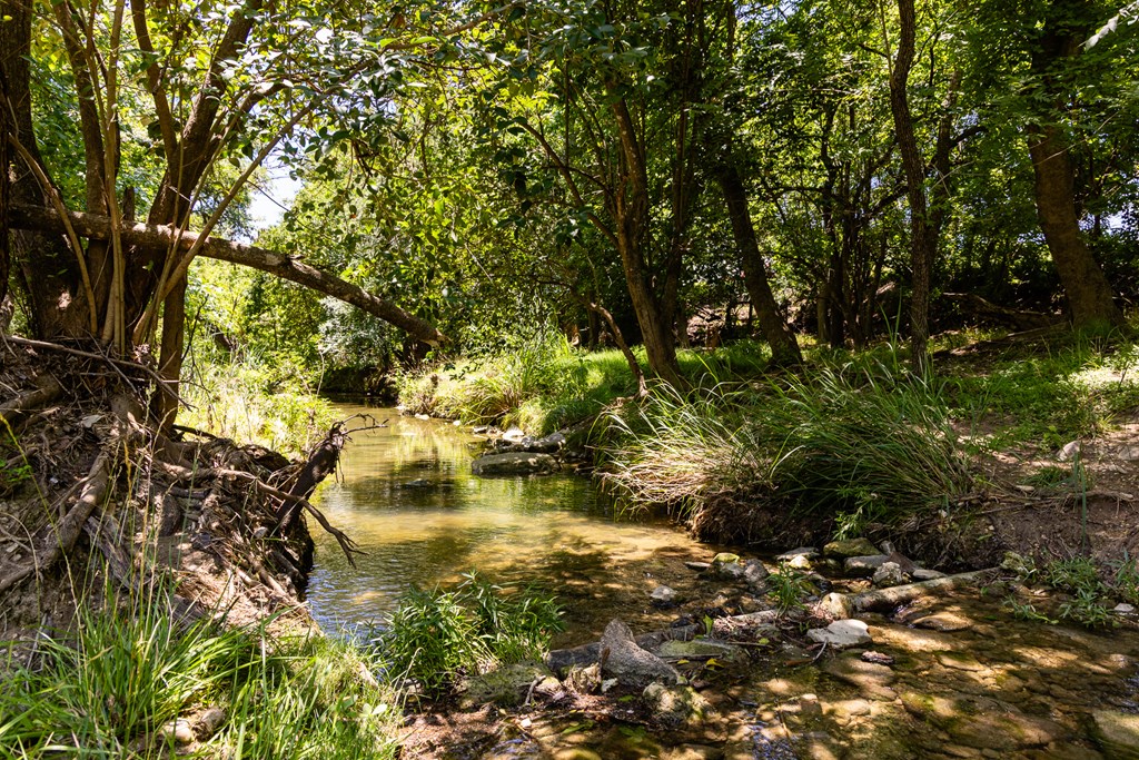 951 Cypress Creek Rd