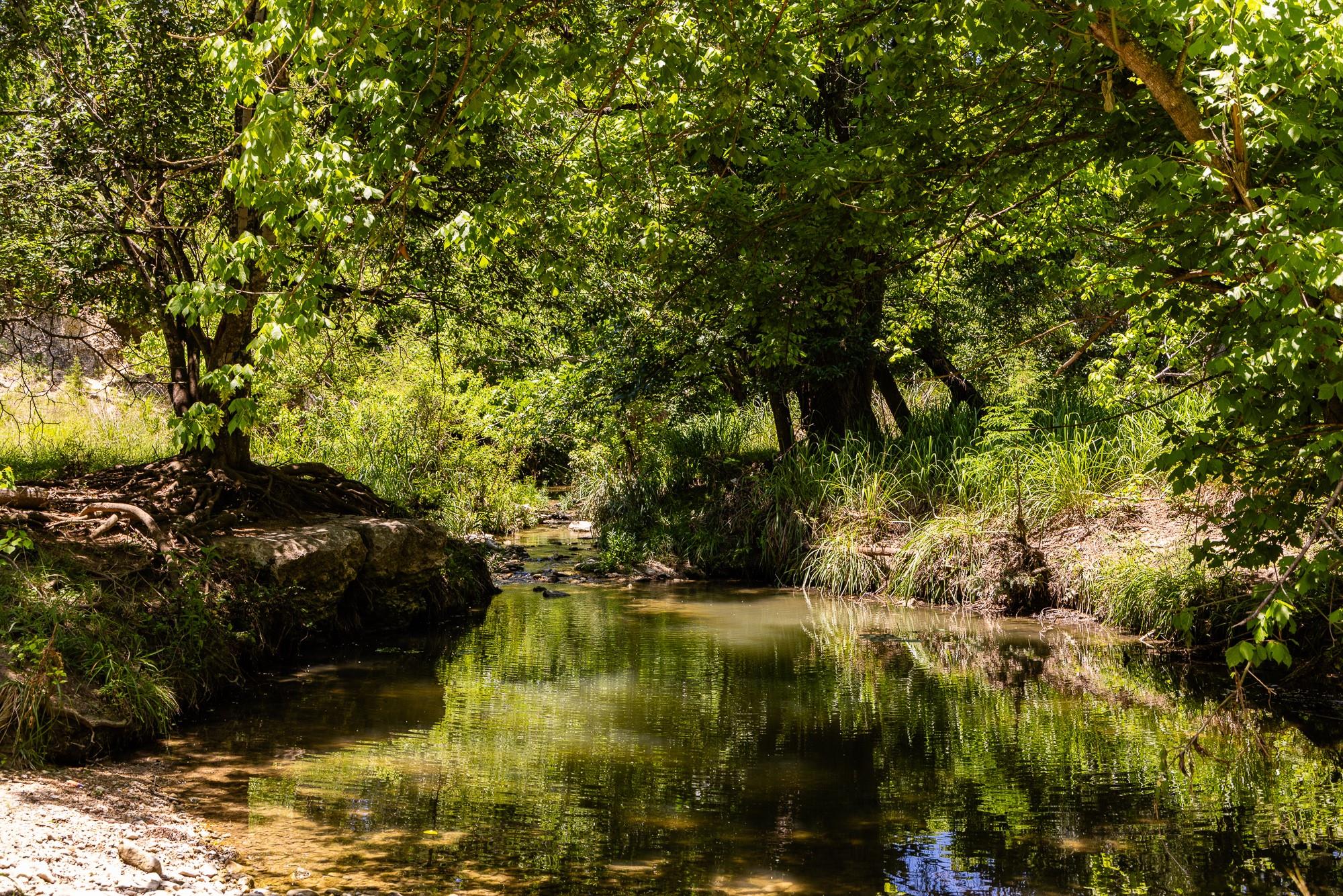 951 Cypress Creek RD