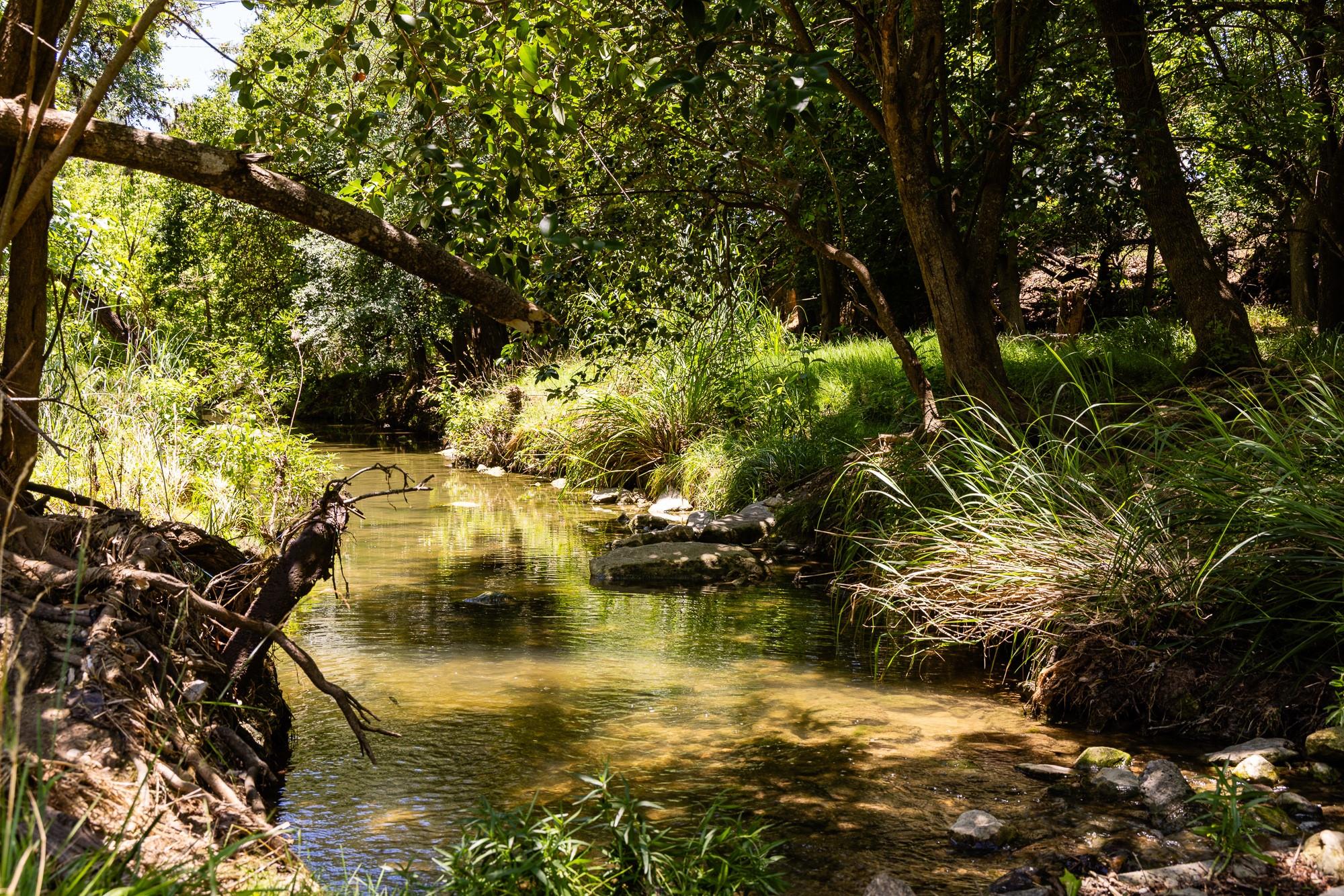 951 Cypress Creek RD