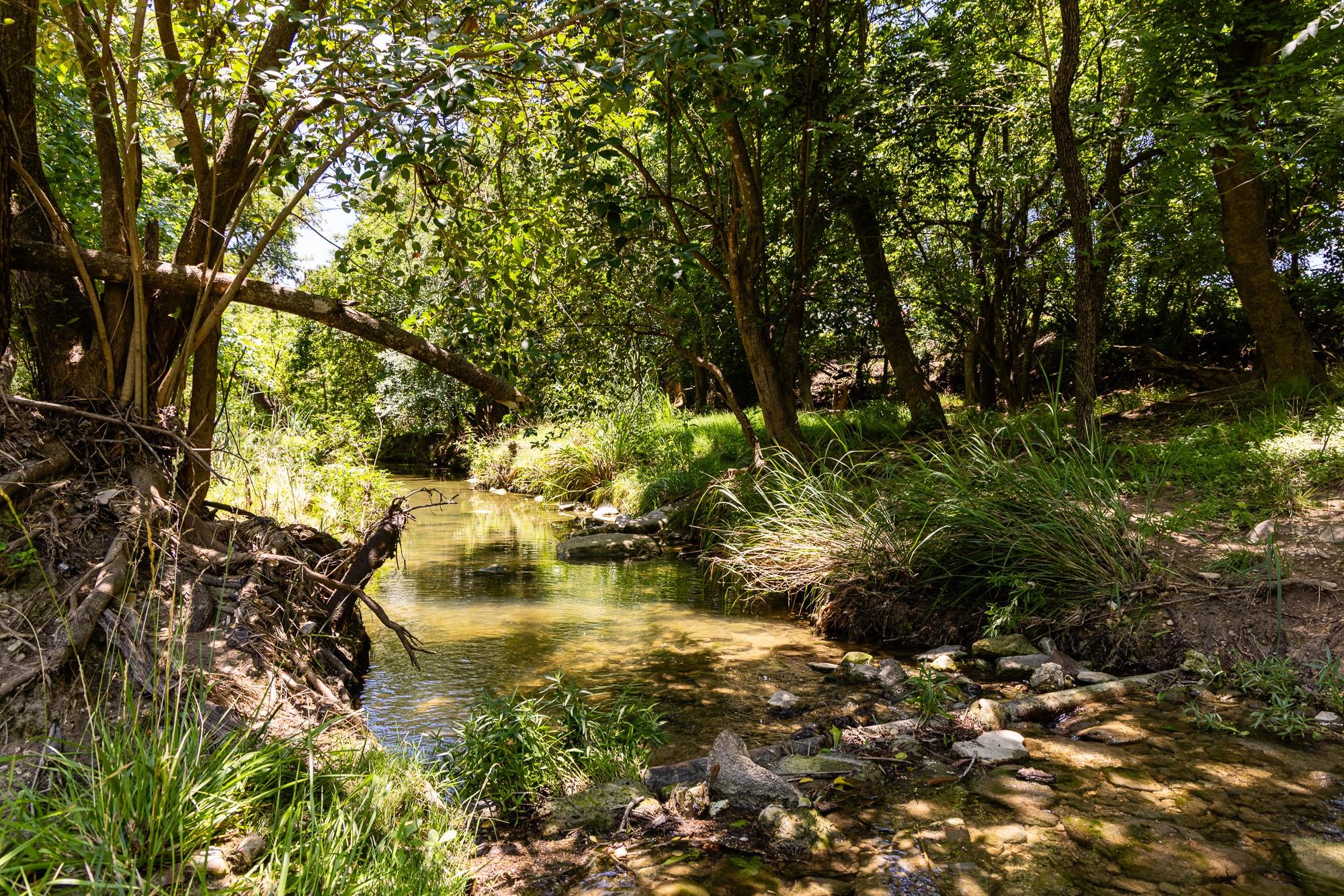 951 Cypress Creek RD