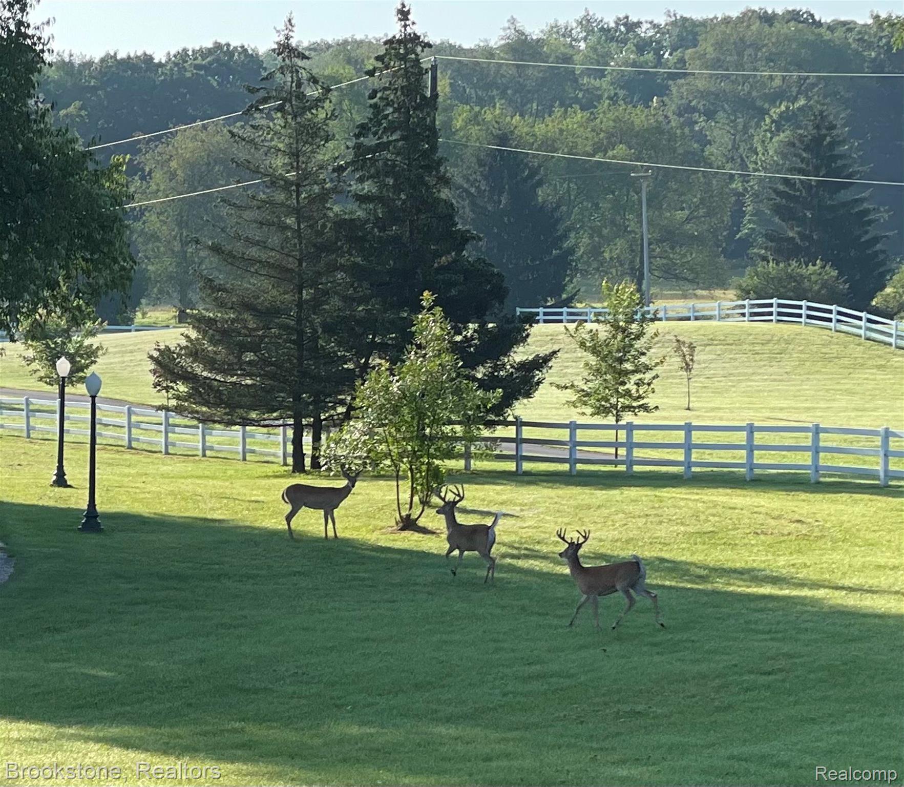 2948 MORROW Lane