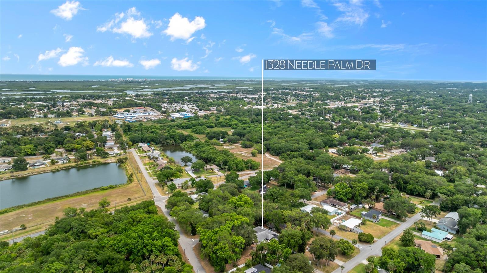 1328 NEEDLE PALM DR
