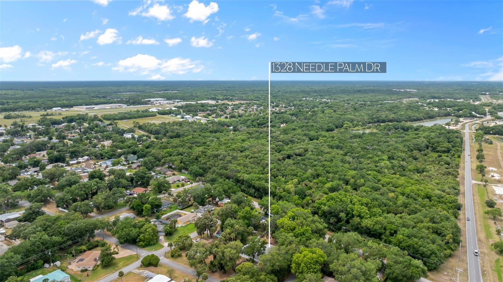 1328 NEEDLE PALM DR