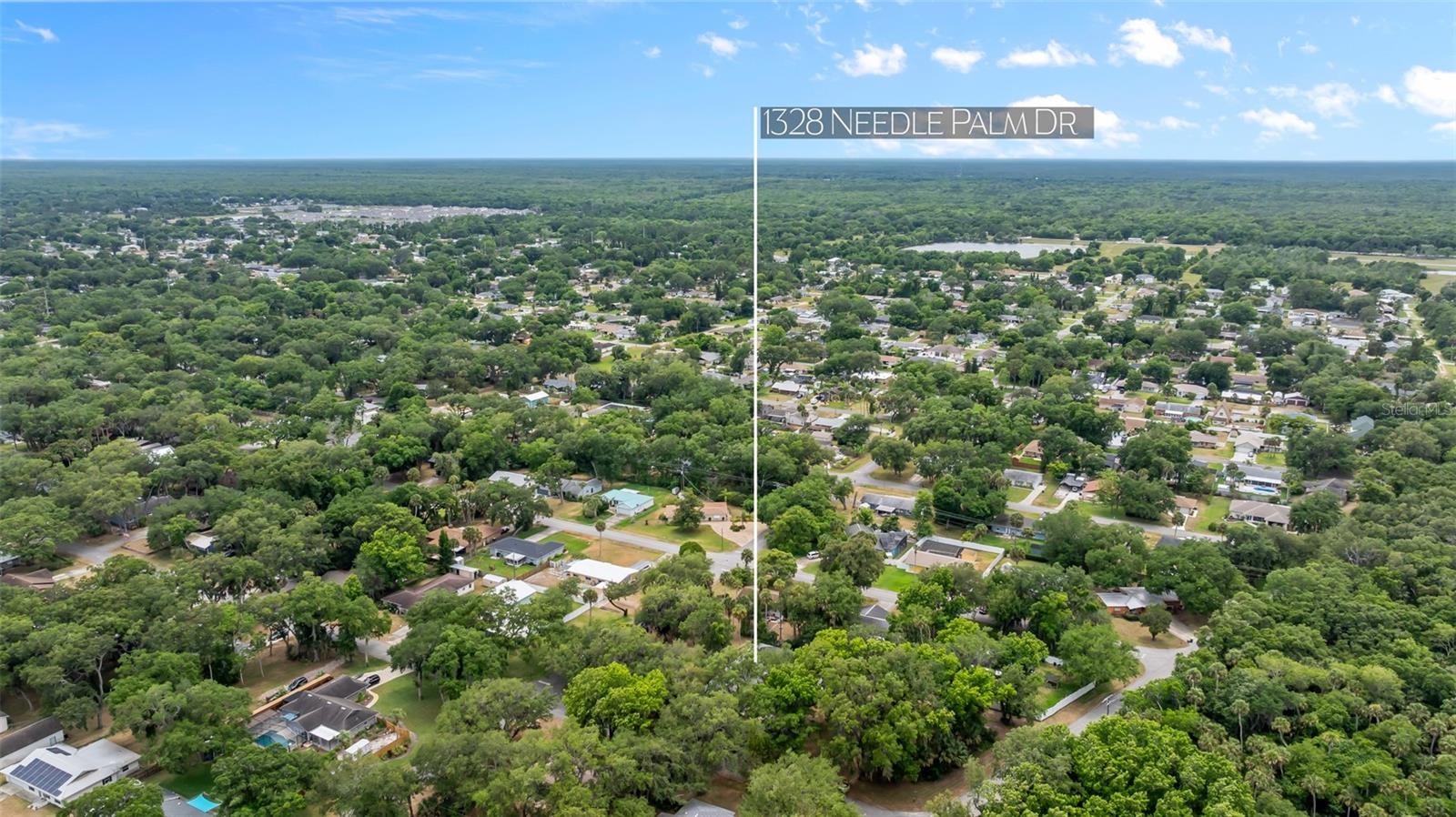 1328 NEEDLE PALM DR