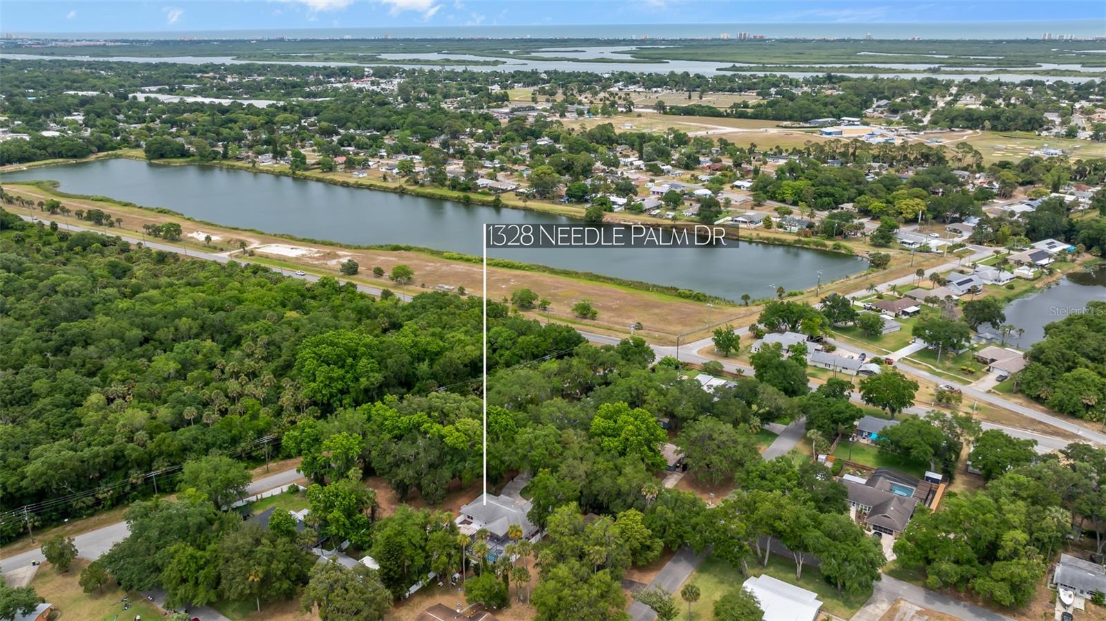 1328 NEEDLE PALM DR