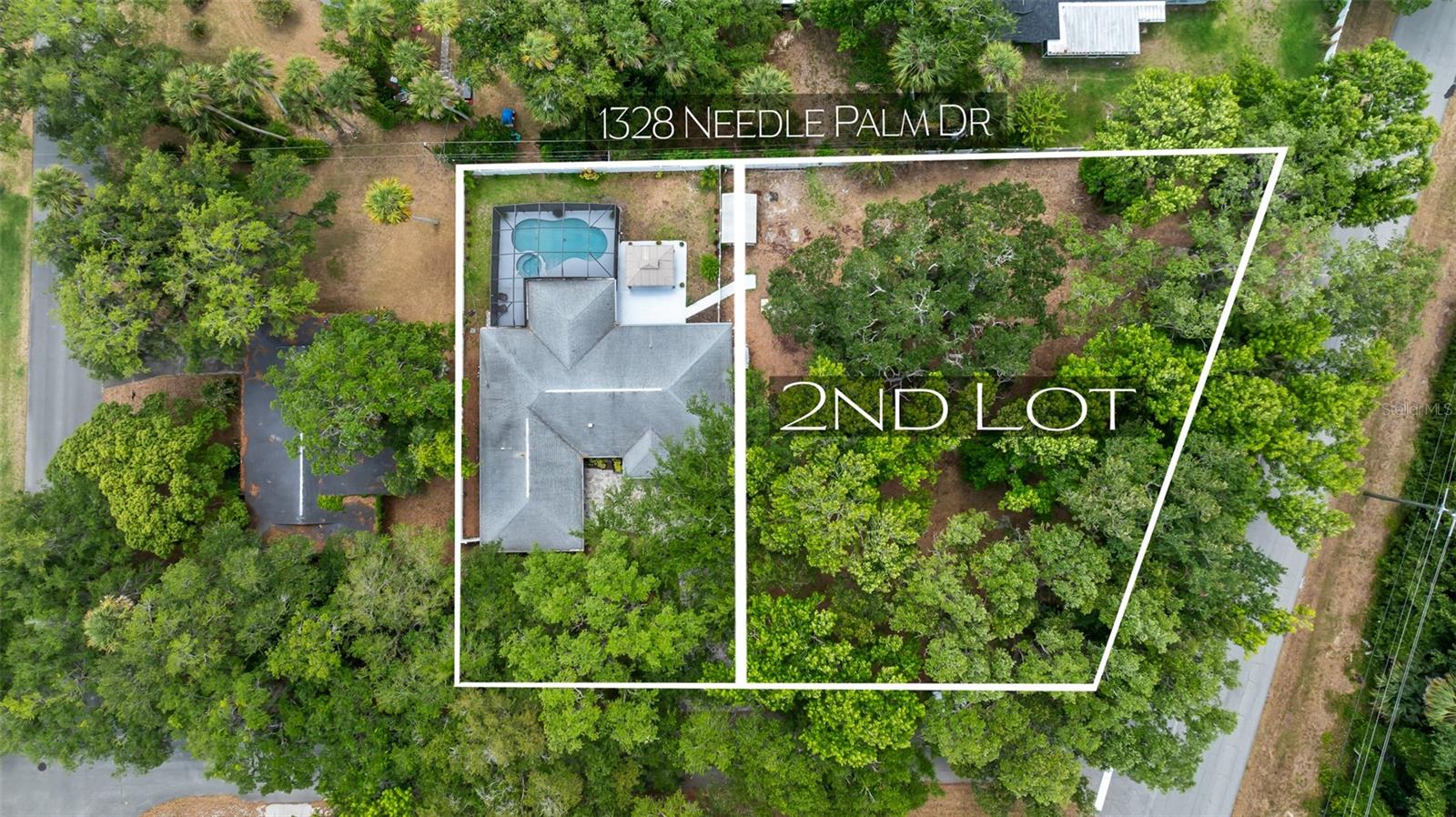 1328 NEEDLE PALM DR