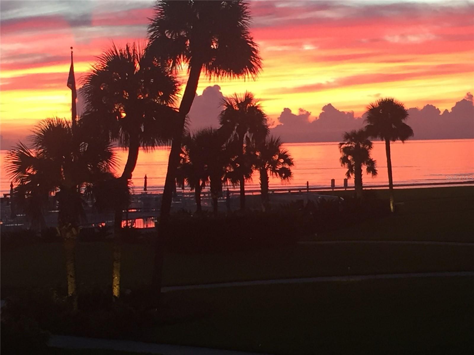 4501 S ATLANTIC AVE #2150