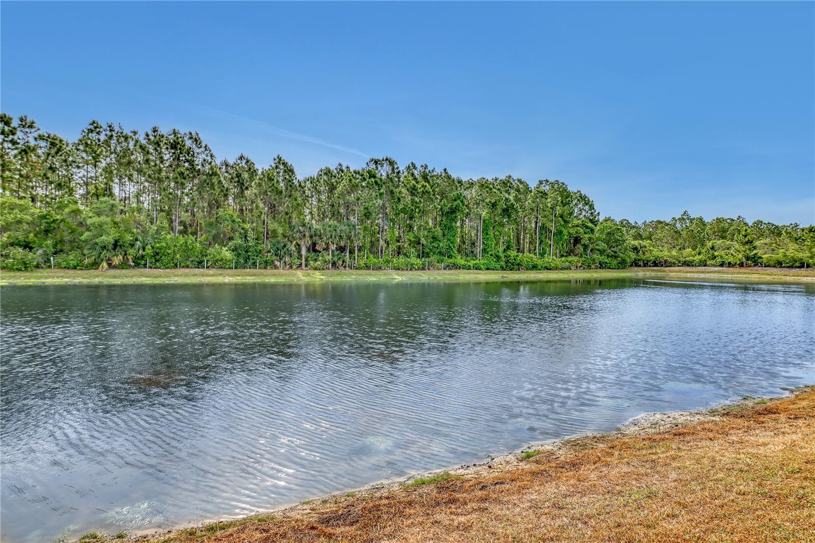 480 FOREST TRACE CIR