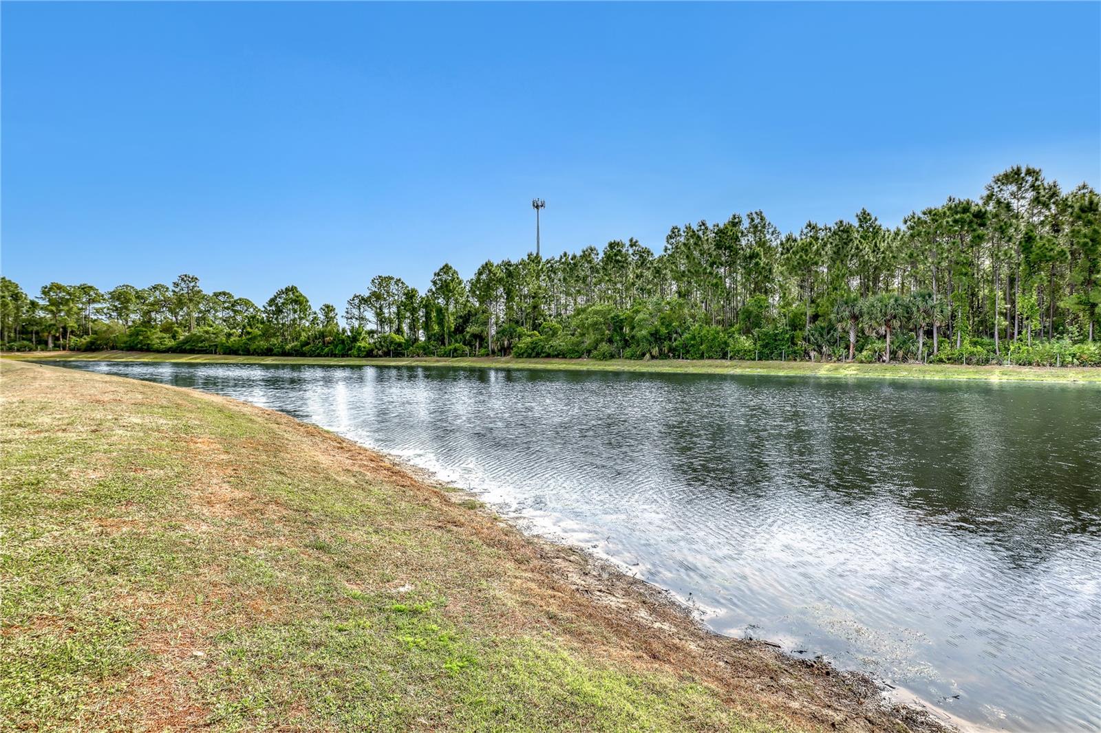 480 FOREST TRACE CIR