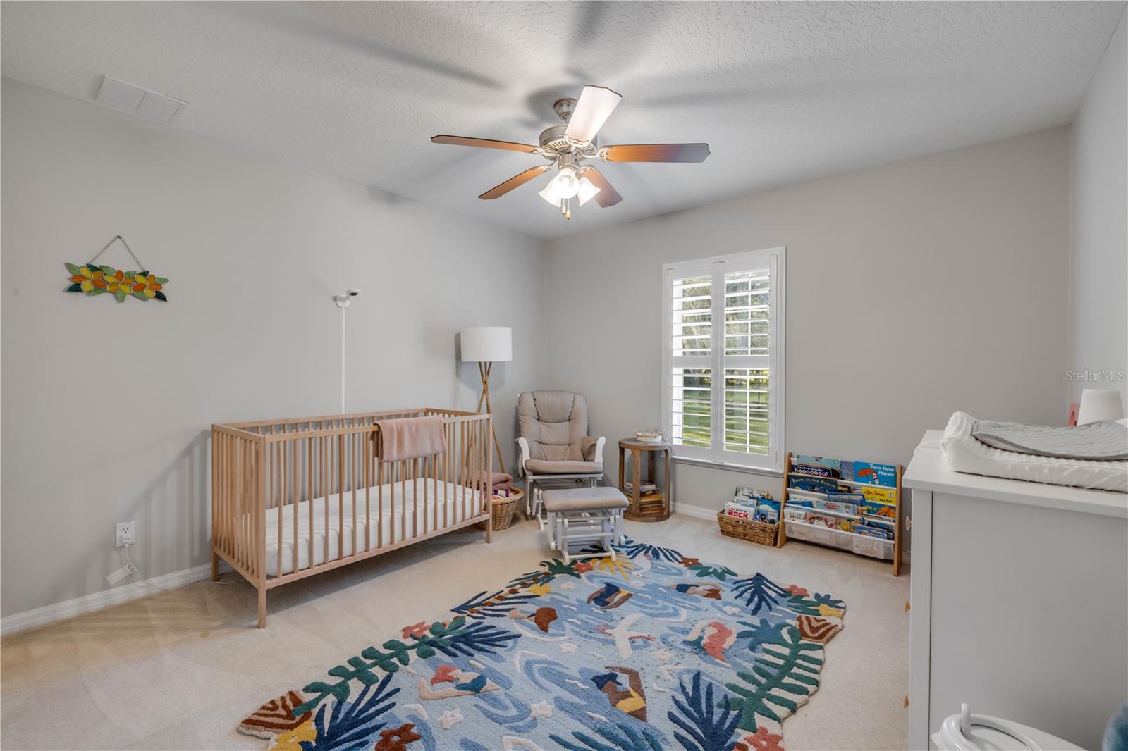1132 OSTEEN MAYTOWN RD