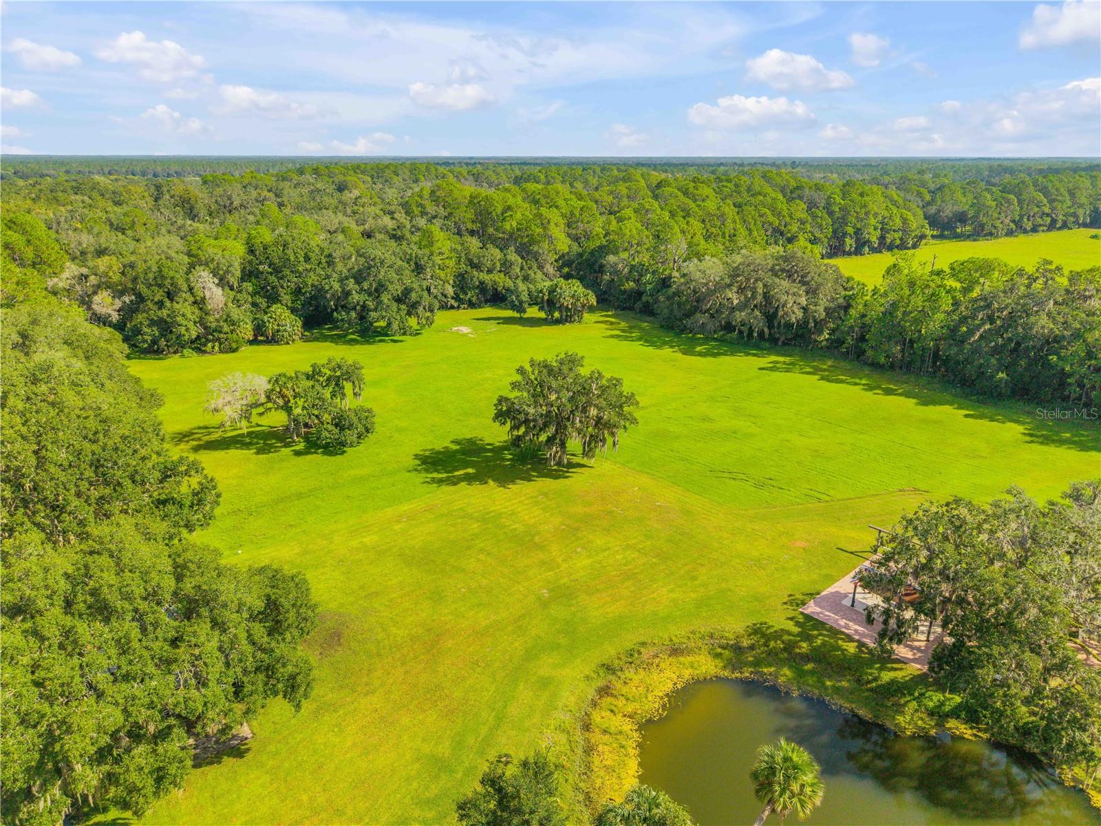 1132 OSTEEN MAYTOWN RD