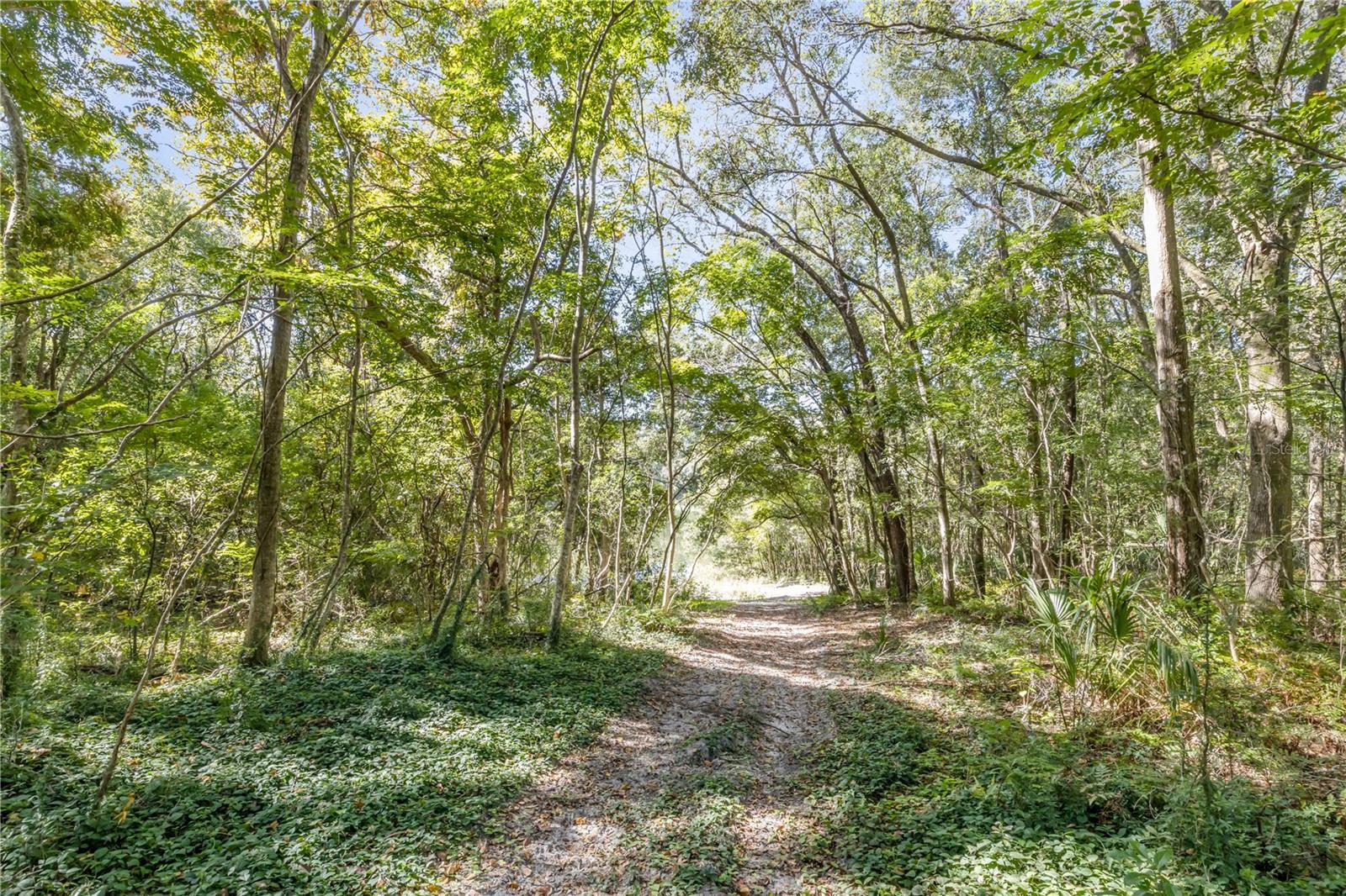 1624 GREENS DAIRY RD