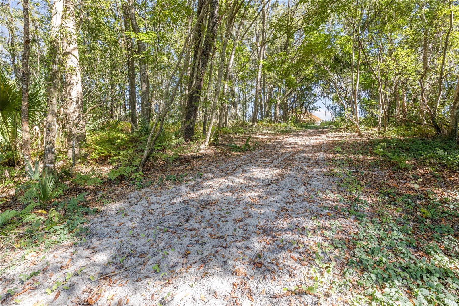 1624 GREENS DAIRY RD