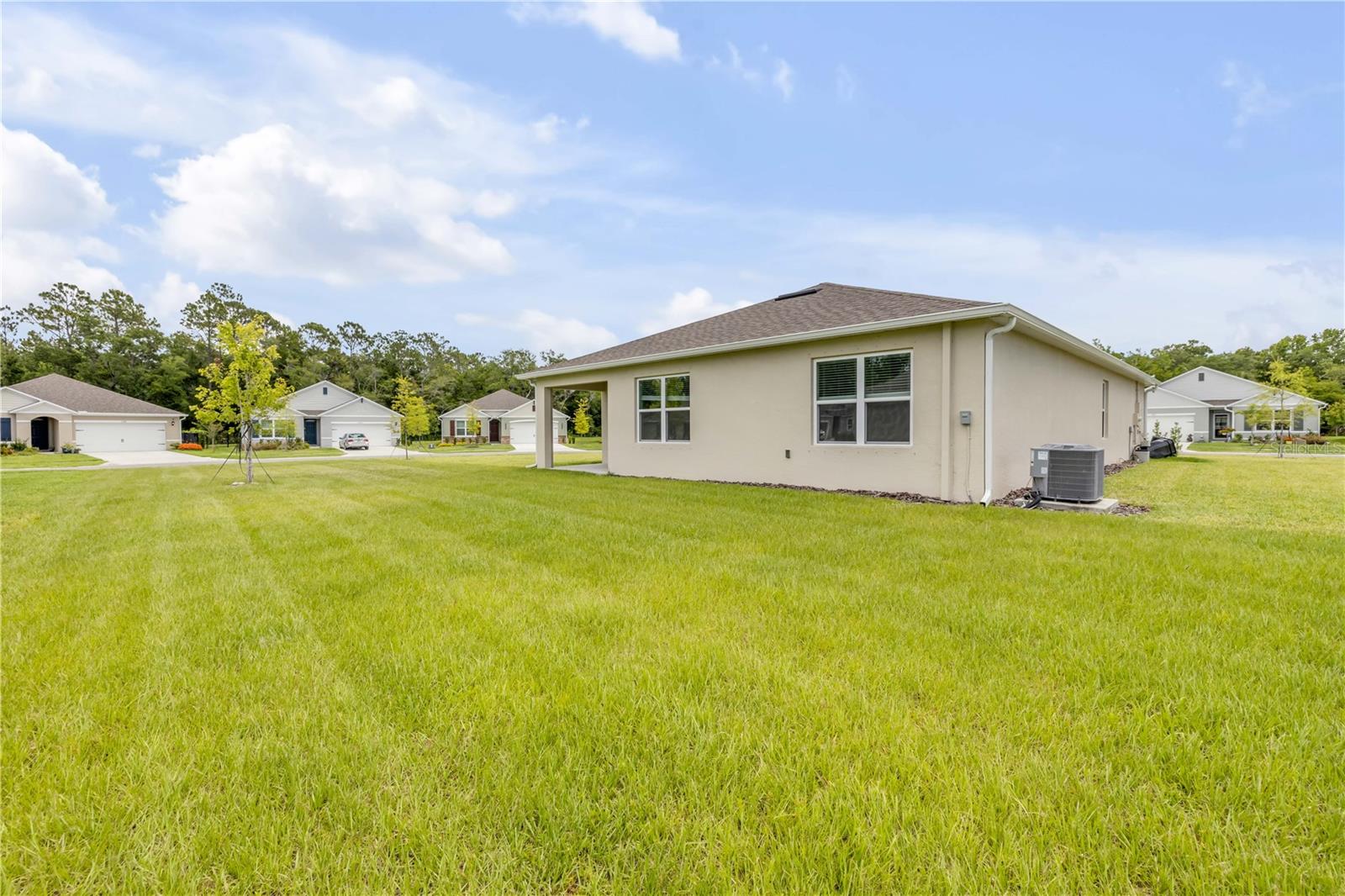 2250 LAKE PRESERVE CIR