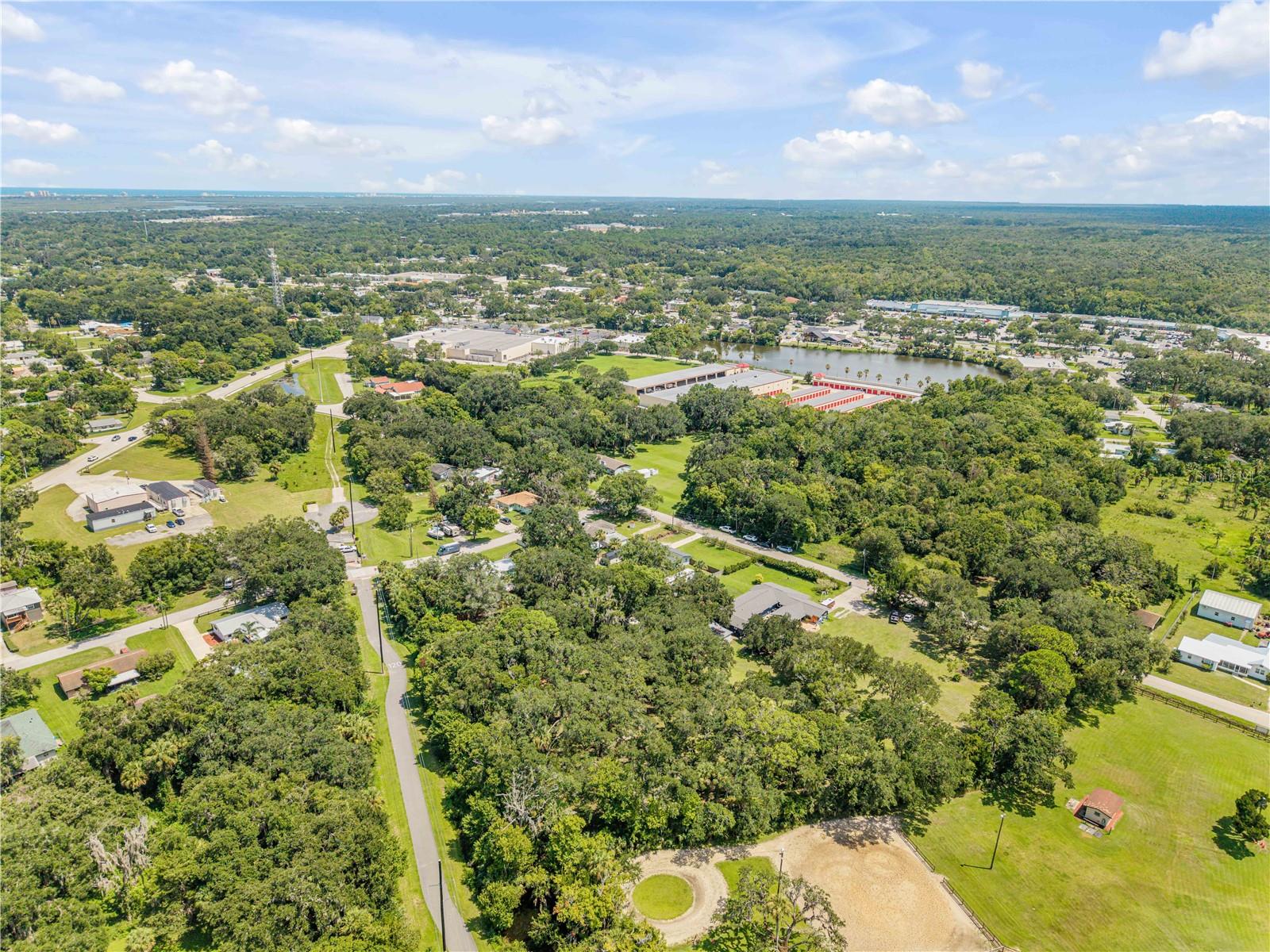 1931 JUNGLE RD