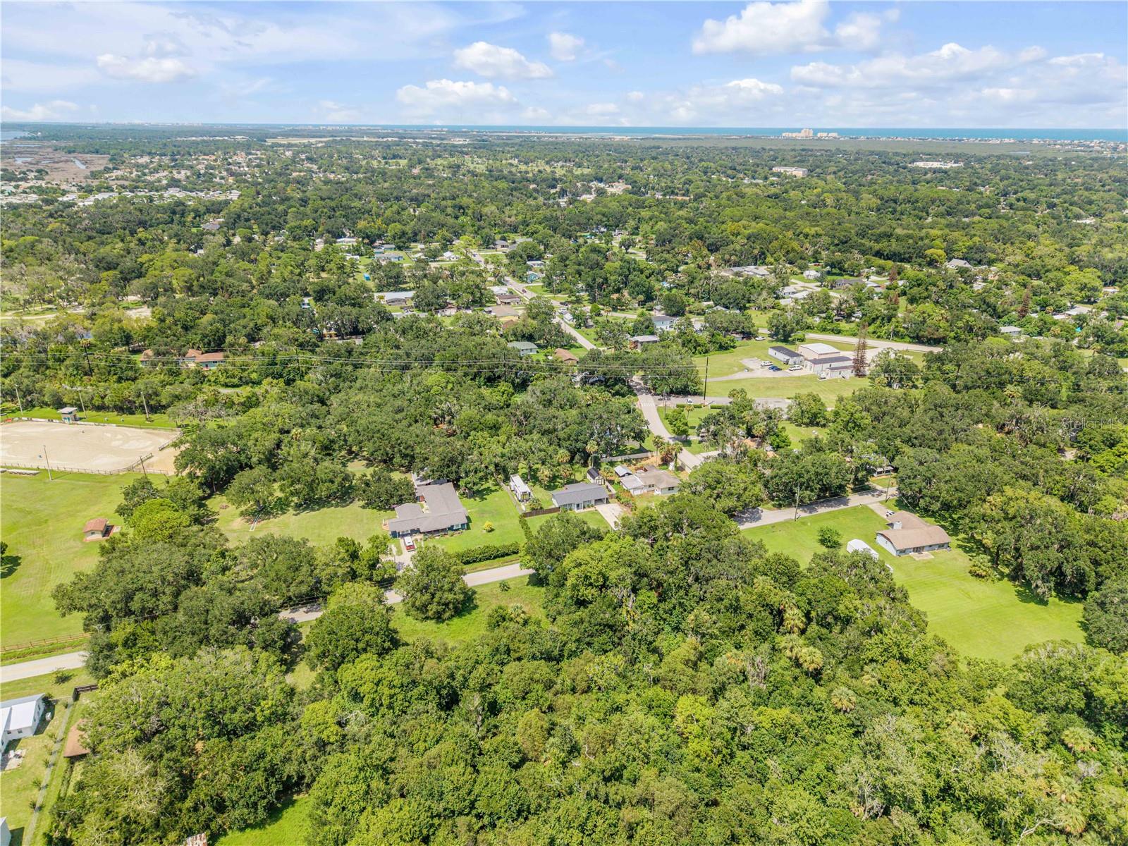1931 JUNGLE RD