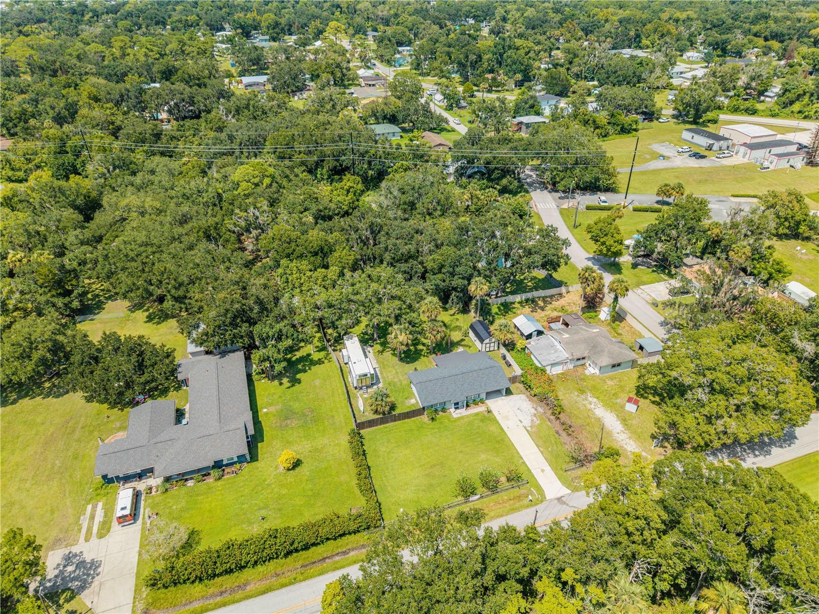 1931 JUNGLE RD