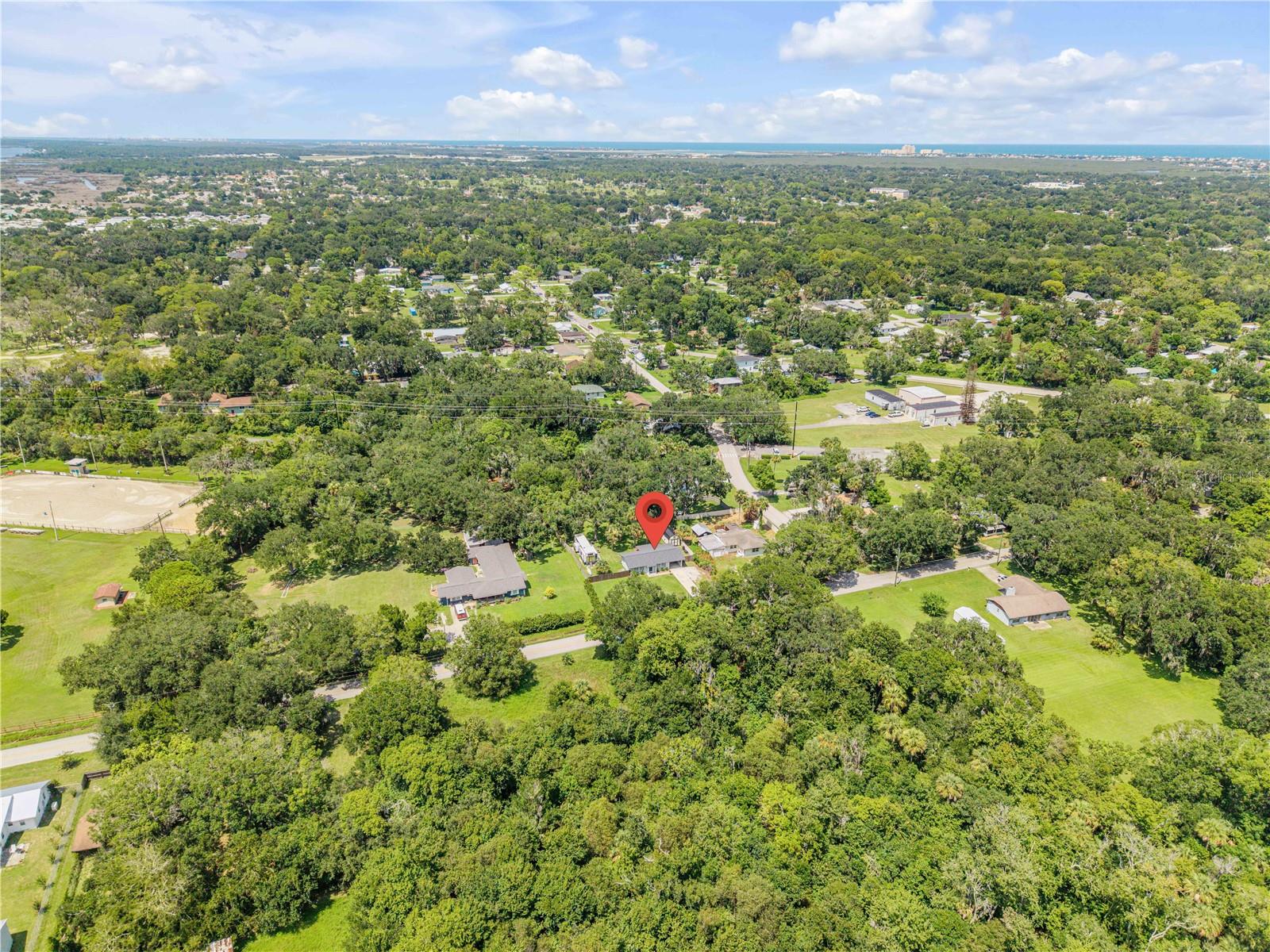 1931 JUNGLE RD