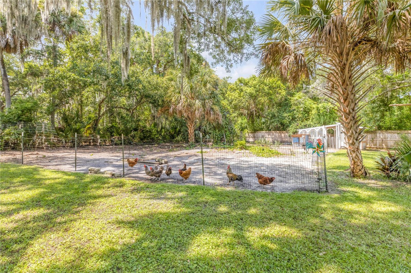 1931 JUNGLE RD
