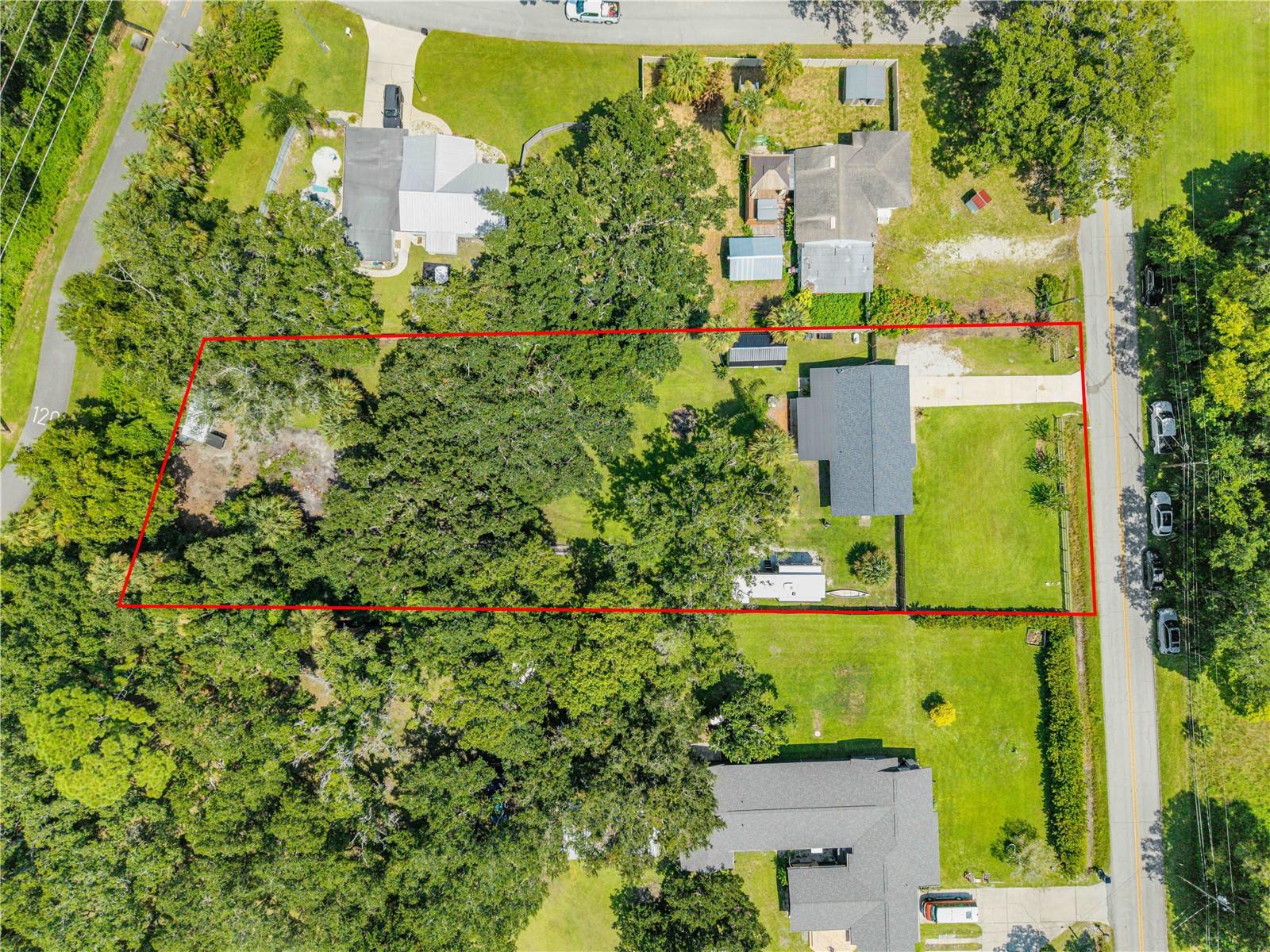 1931 JUNGLE RD