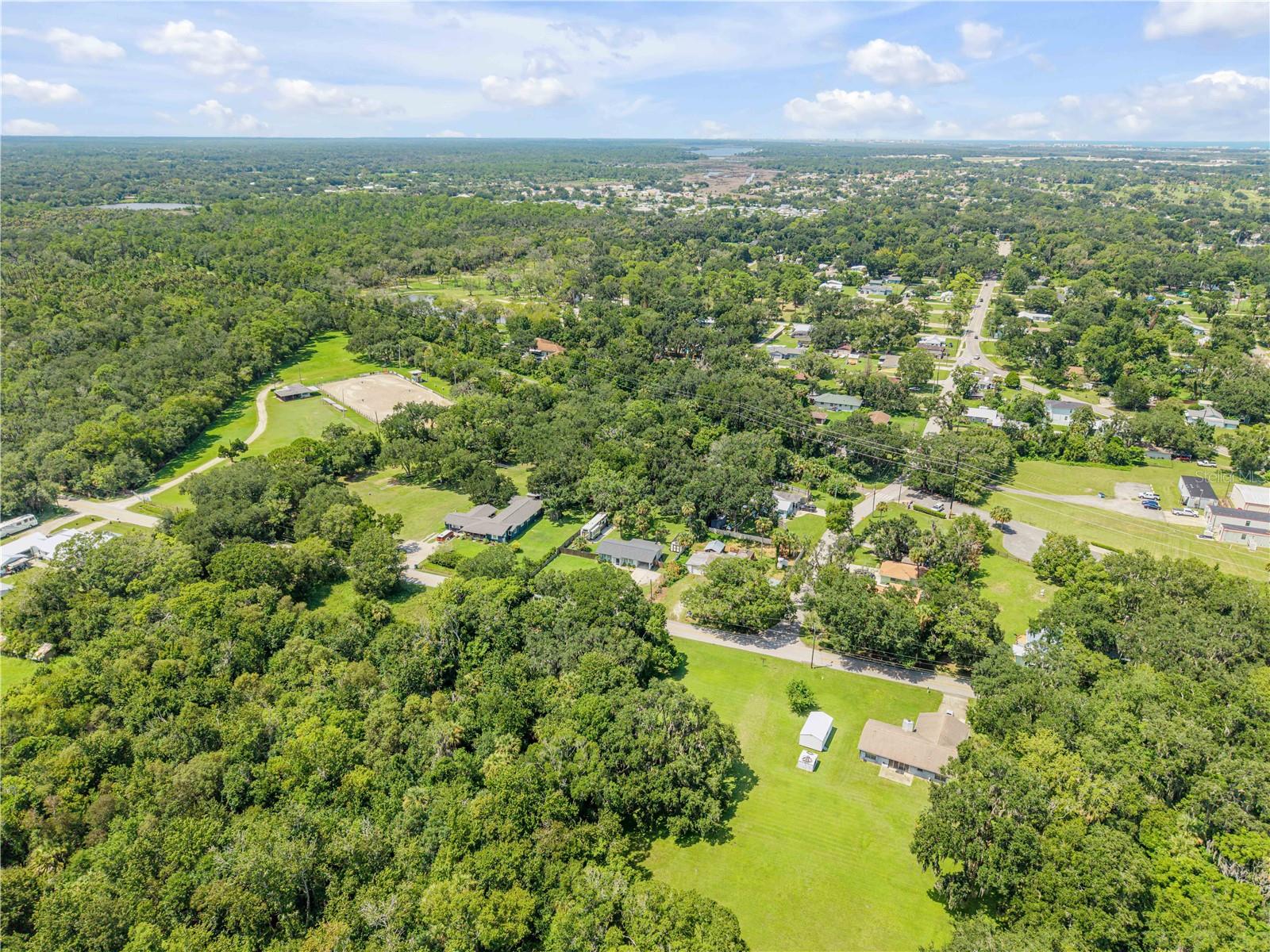 1931 JUNGLE RD