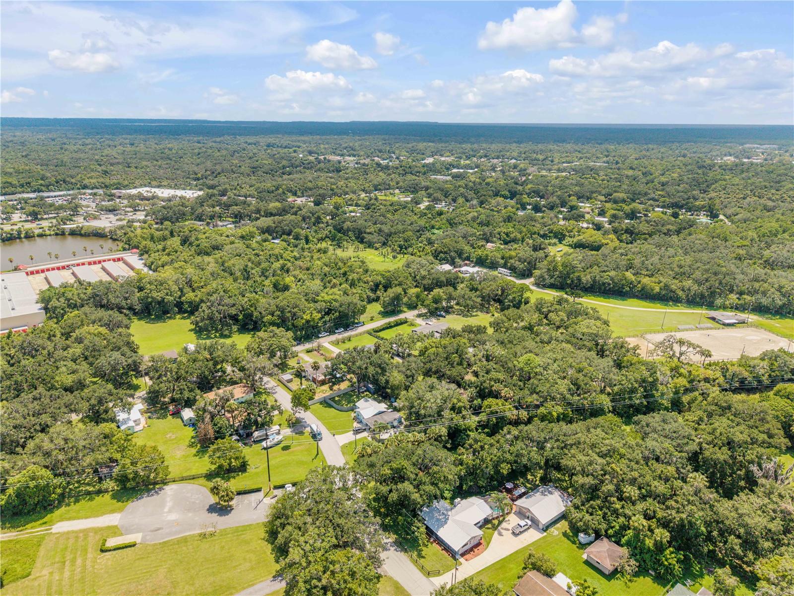 1931 JUNGLE RD