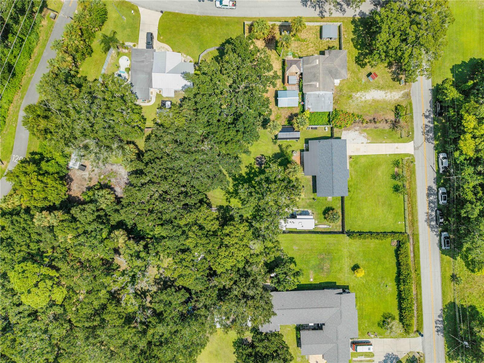 1931 JUNGLE RD