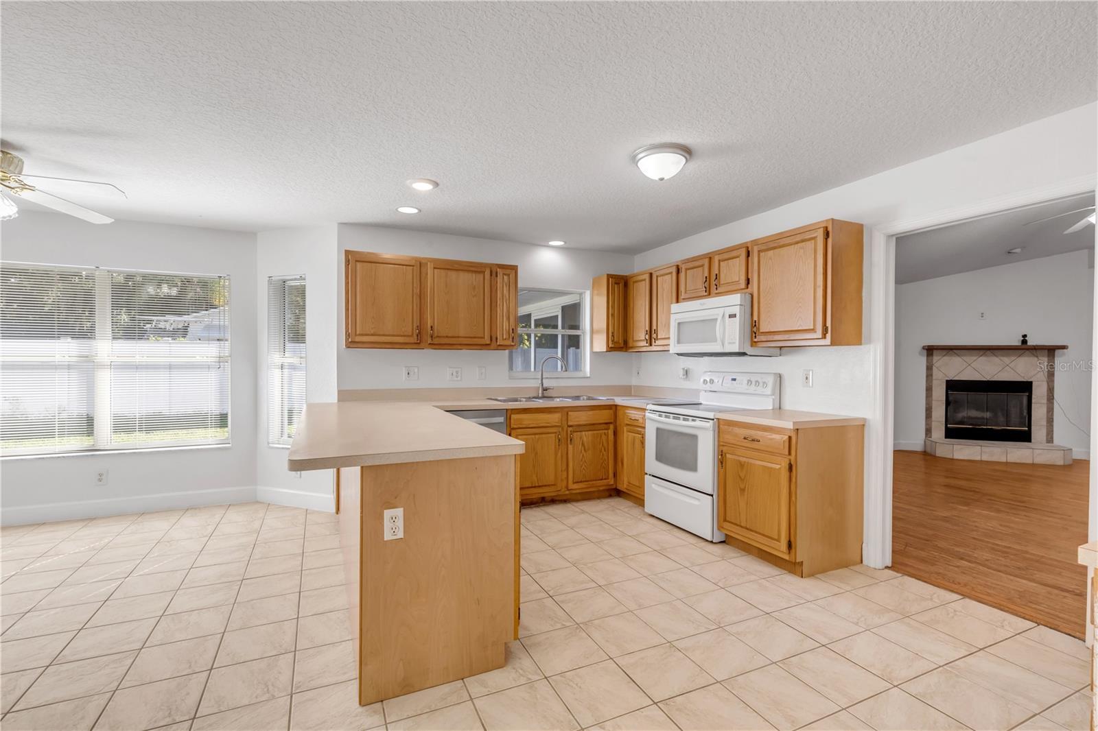 3205 MANGO TREE DR