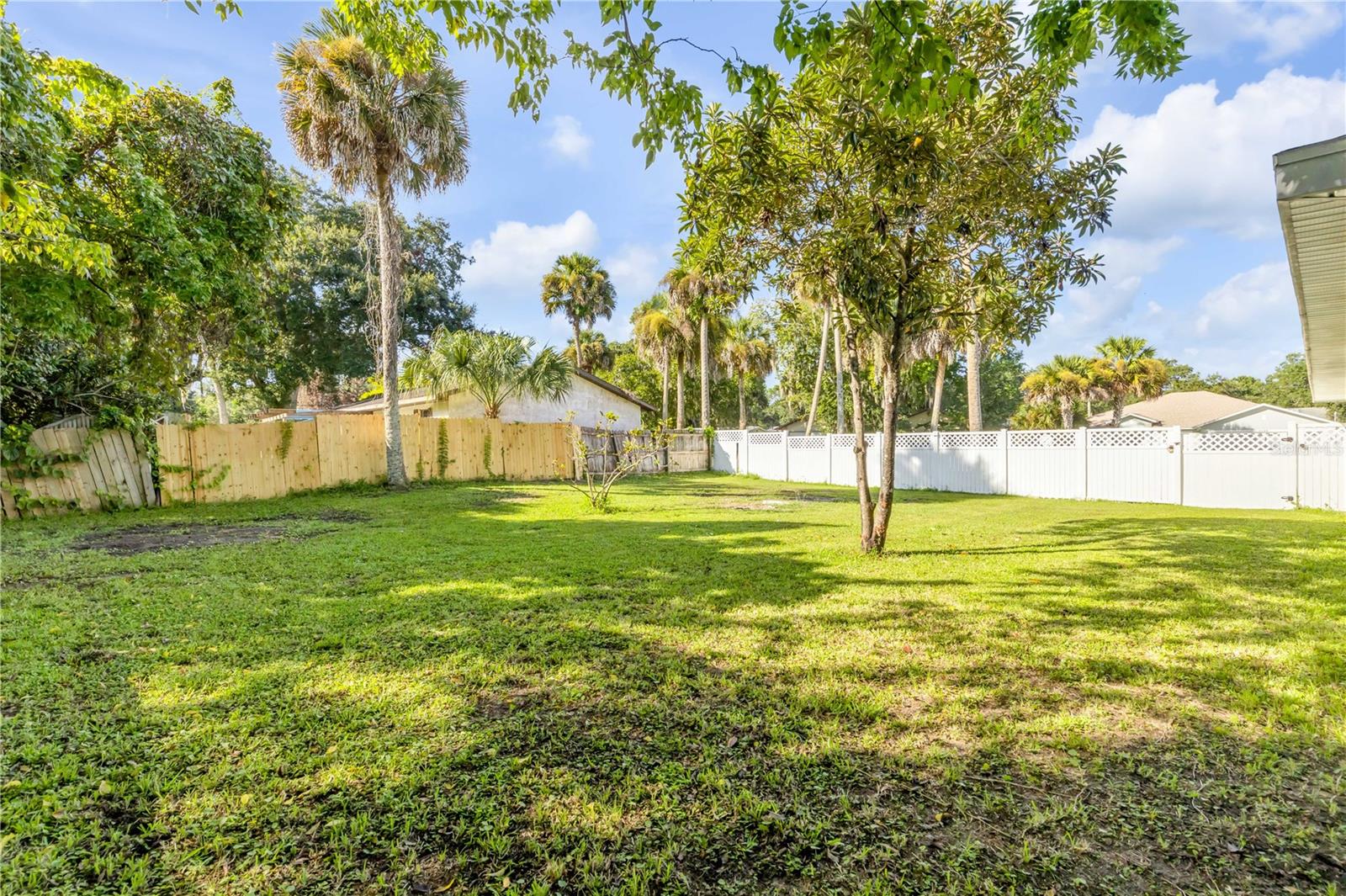 3205 MANGO TREE DR