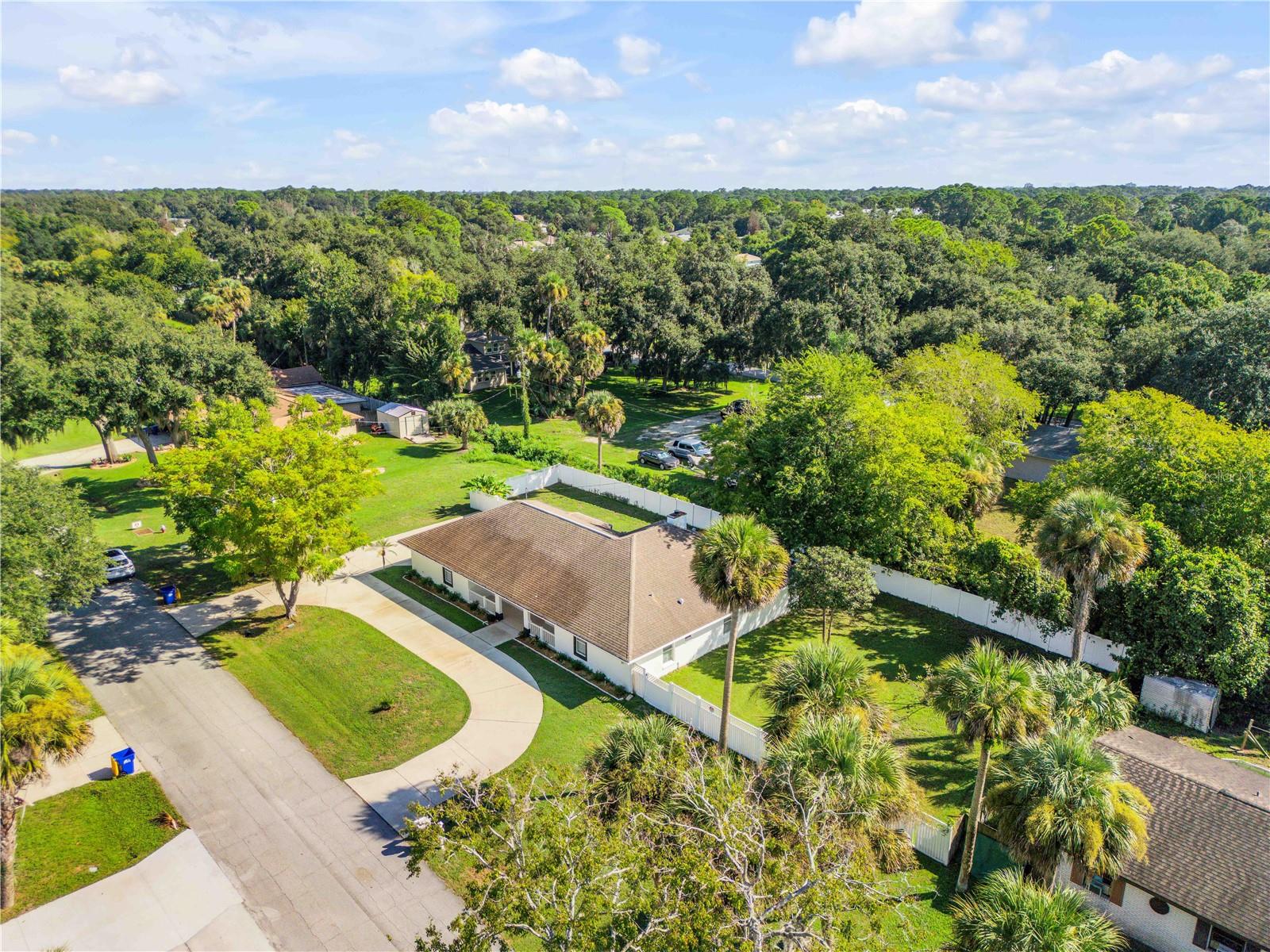 3205 MANGO TREE DR