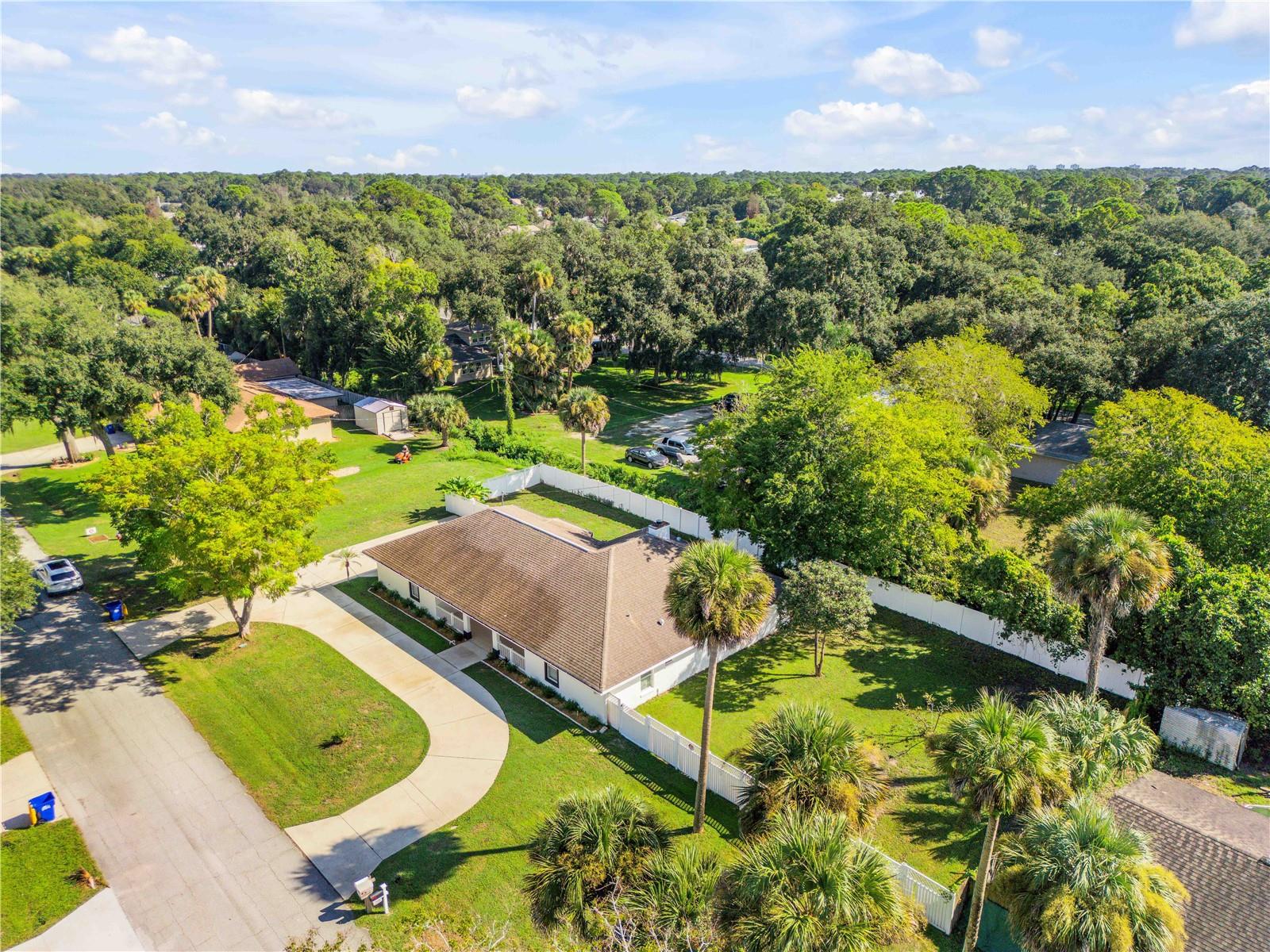 3205 MANGO TREE DR