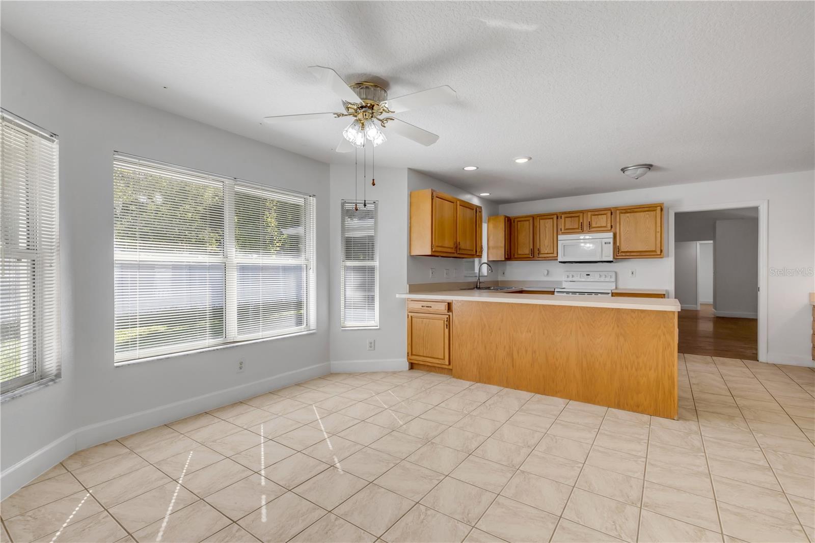 3205 MANGO TREE DR