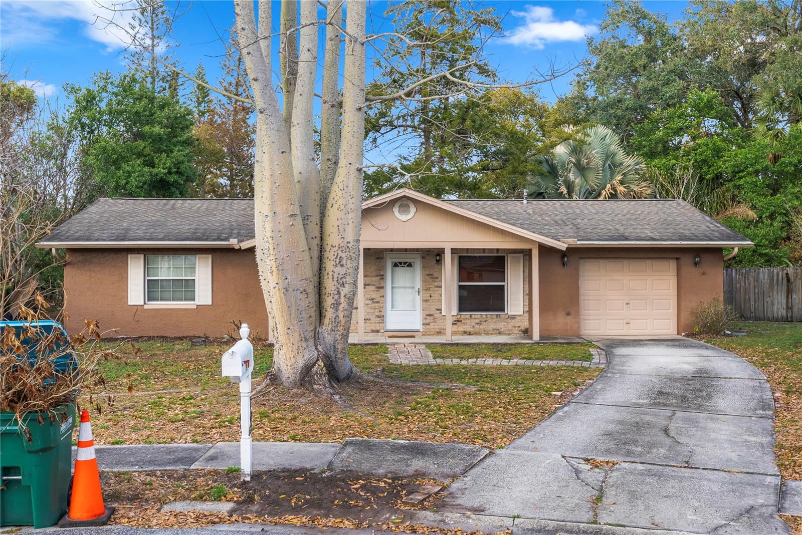 102 CAMPHORWOOD CT