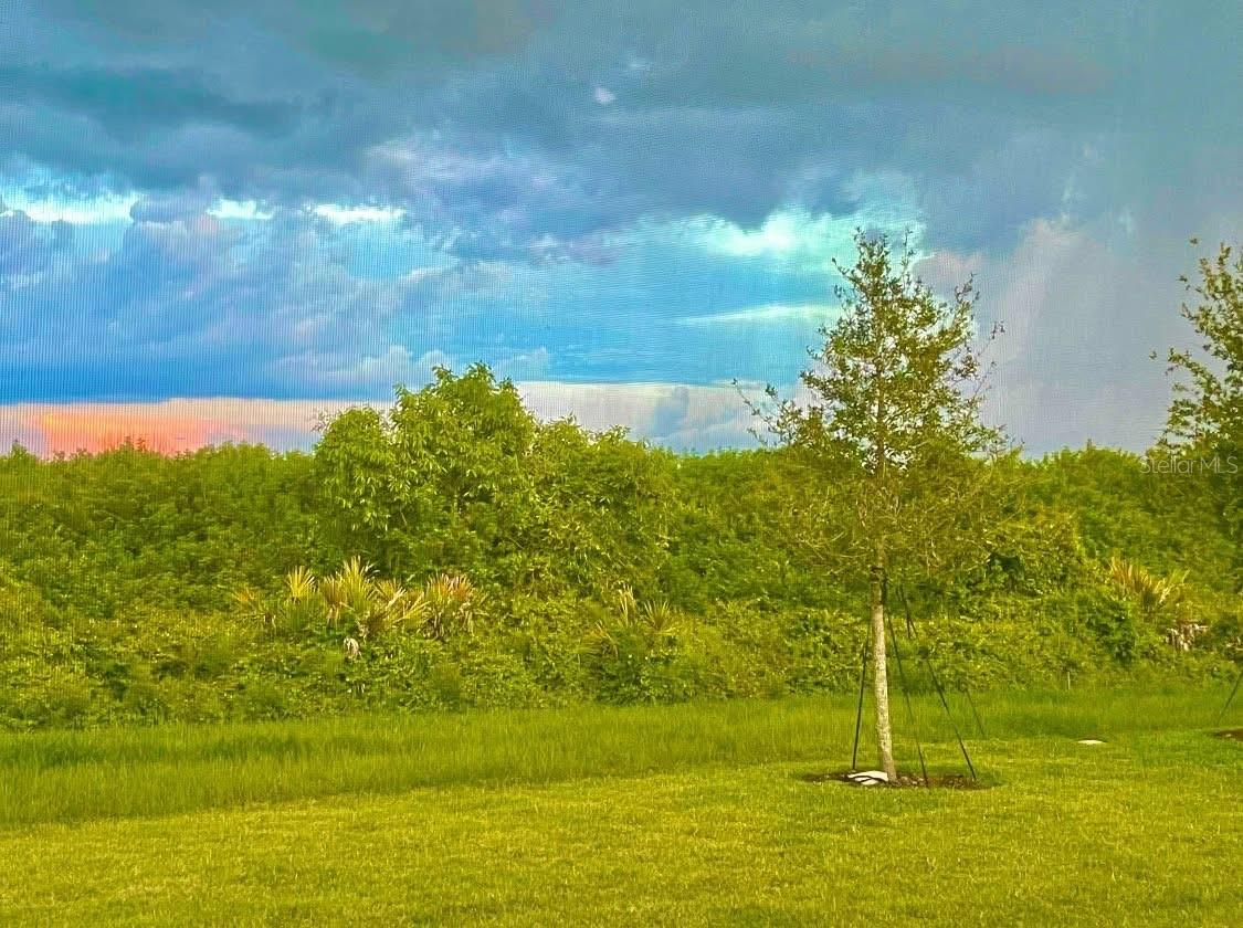 8488 SAINT KITTS CIR