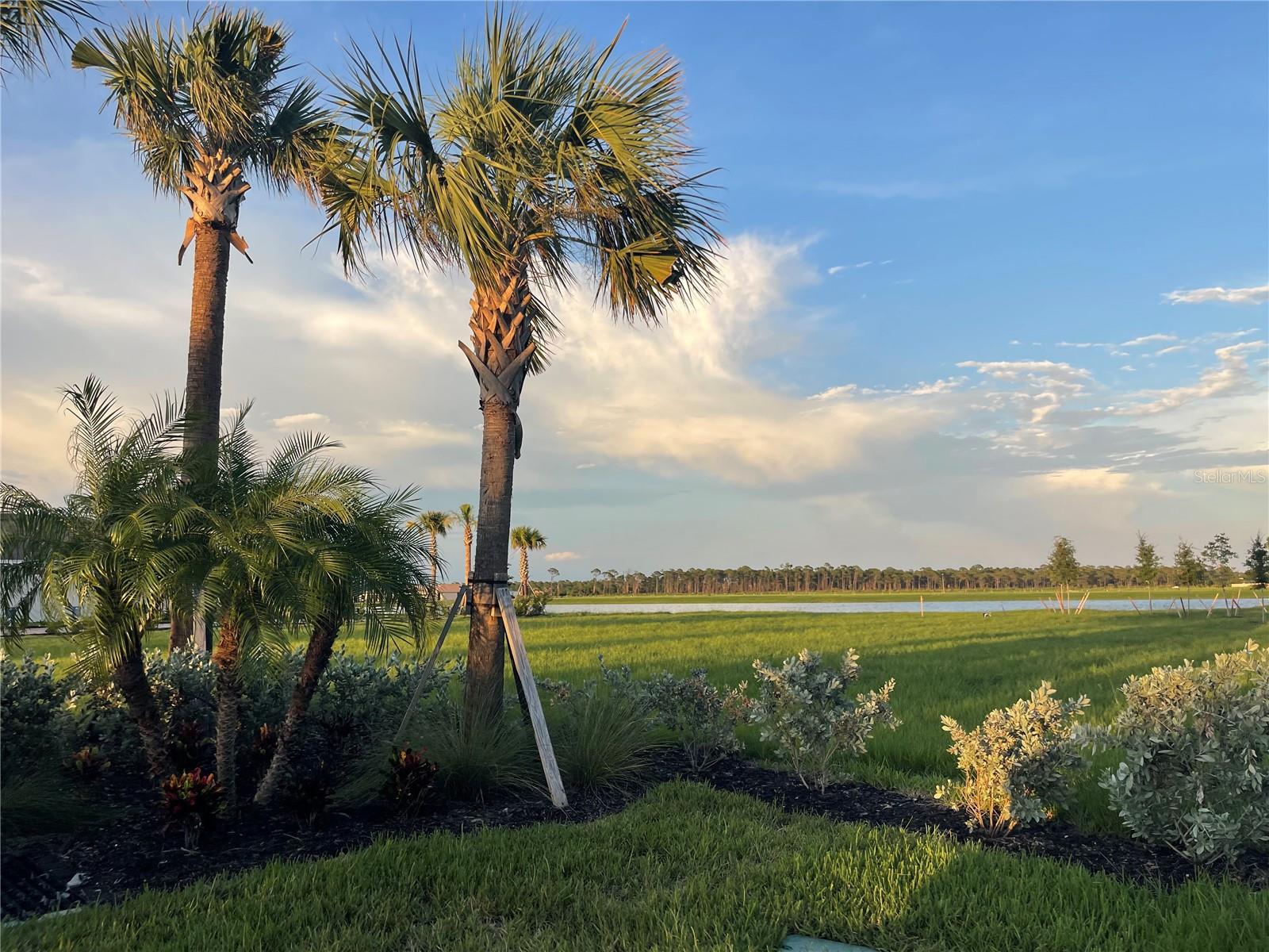 8488 SAINT KITTS CIR