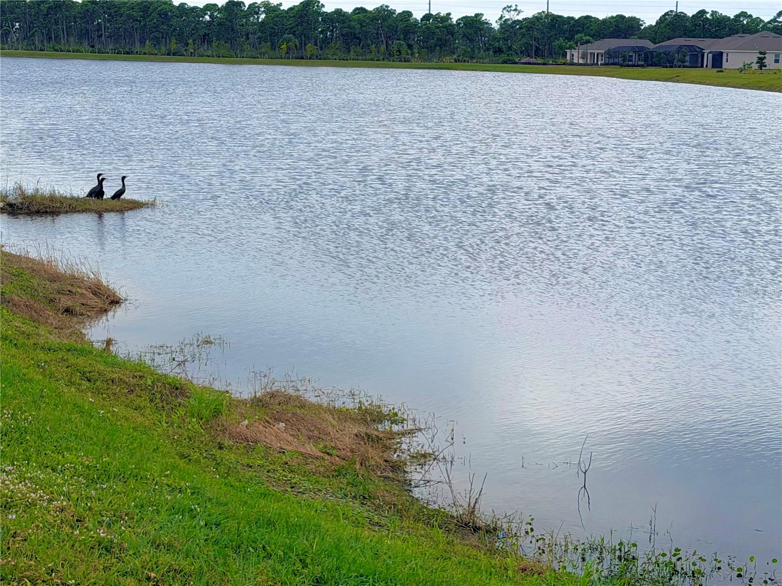 8074 SAINT KITTS CIR