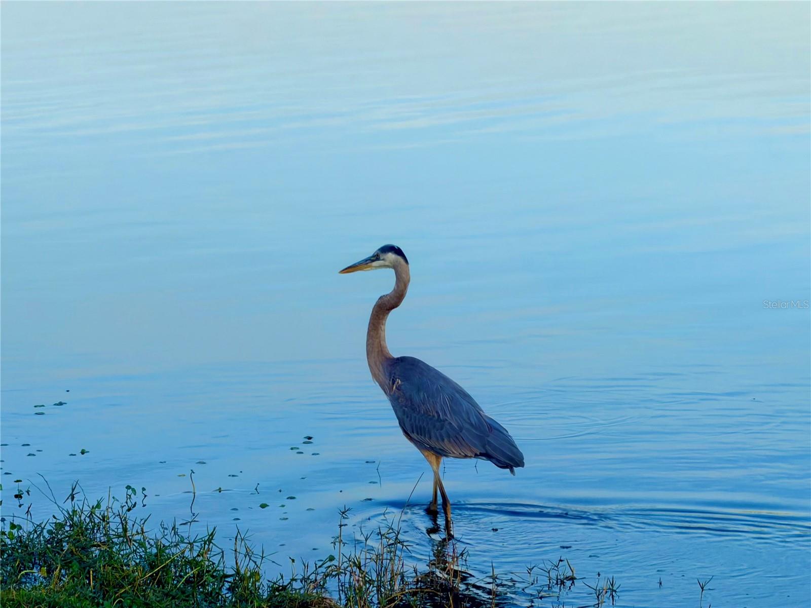 8099 SAINT KITTS CIR