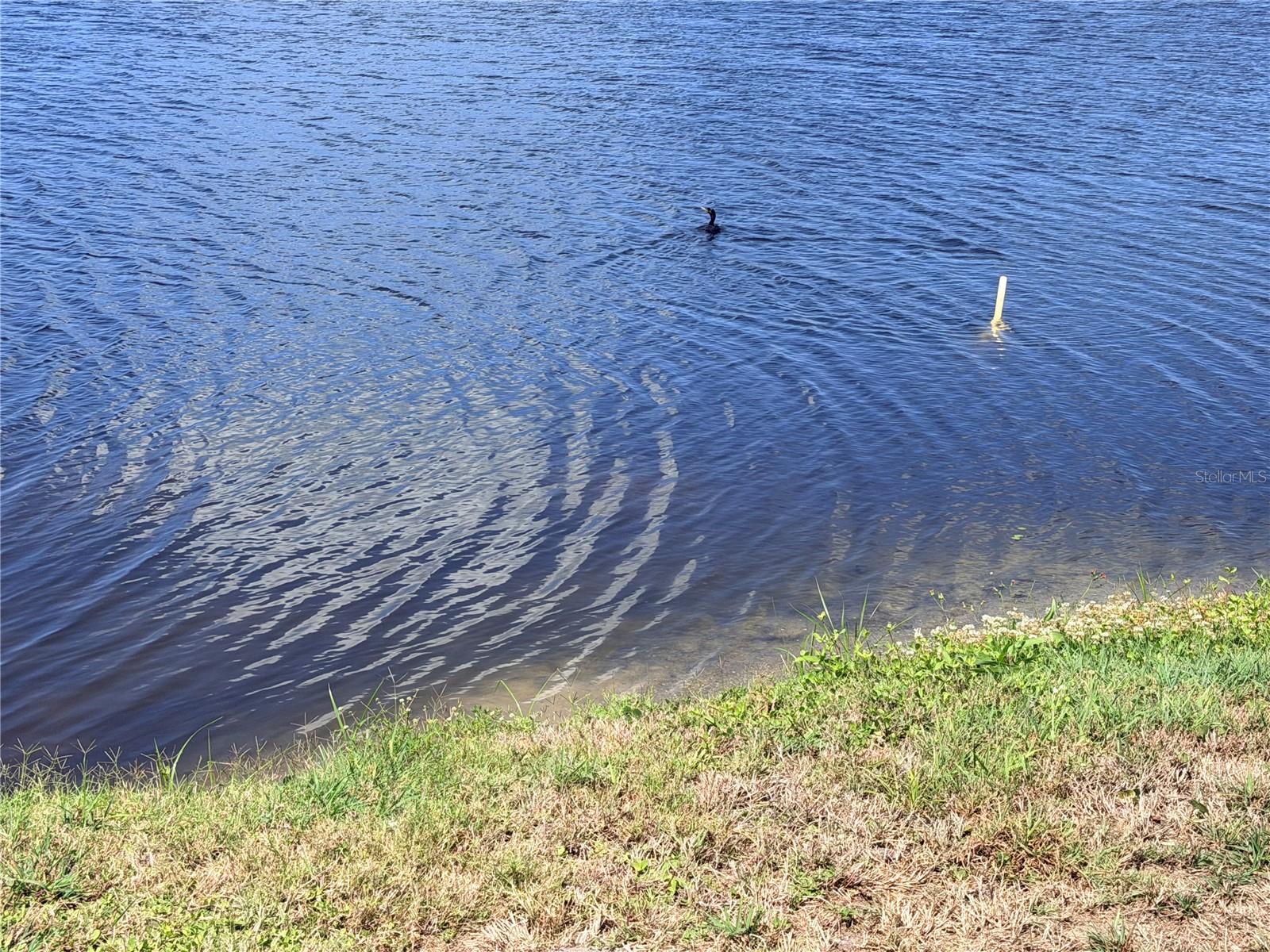 8152 SAINT KITTS CIR