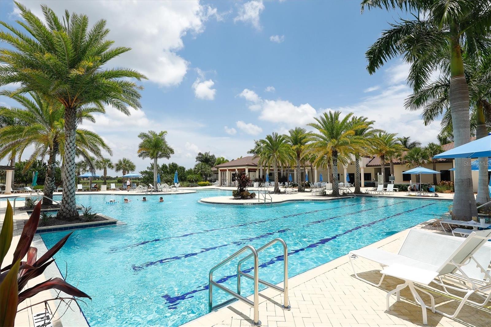 24260 SPARTINA DR