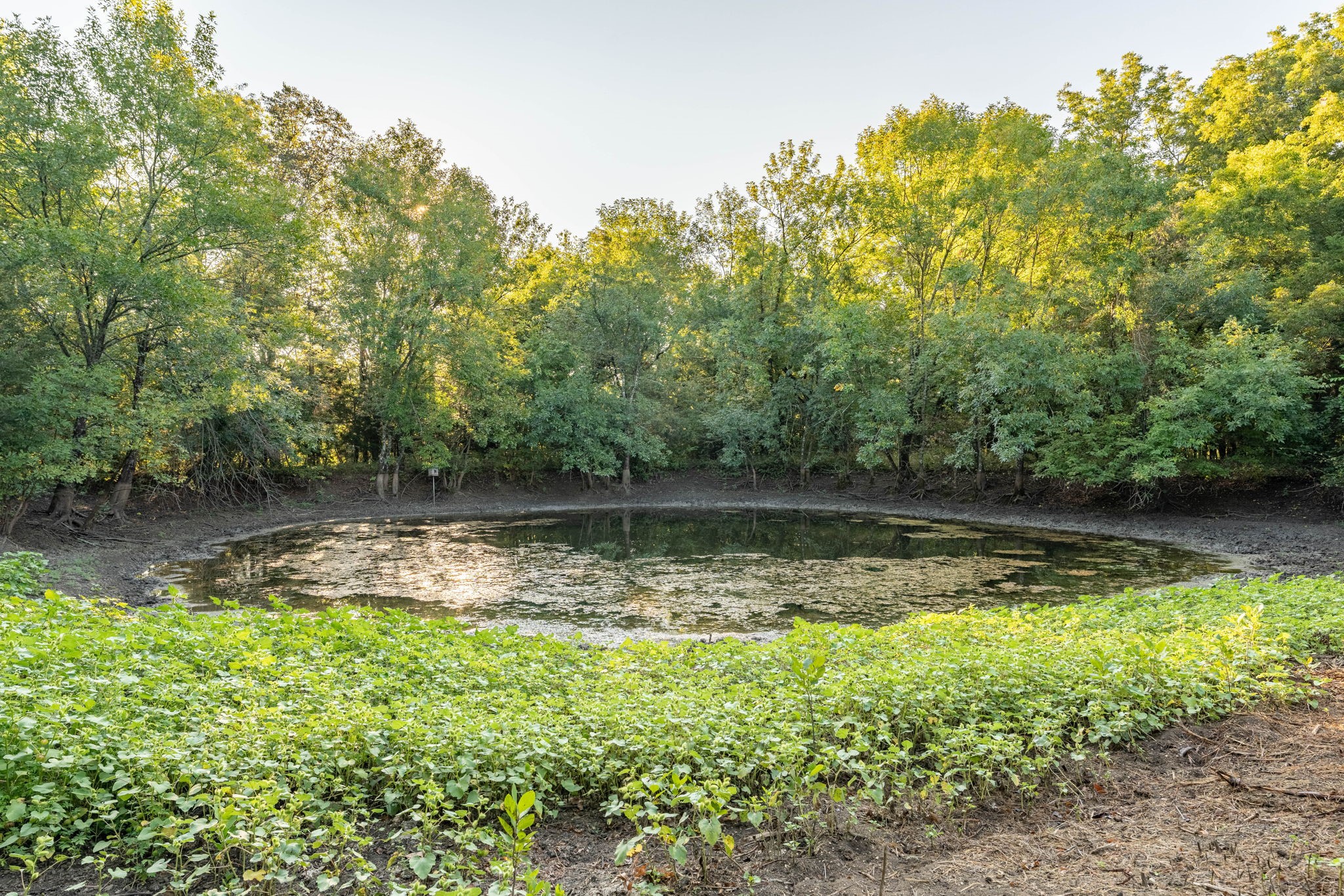 1001 County Road 2999